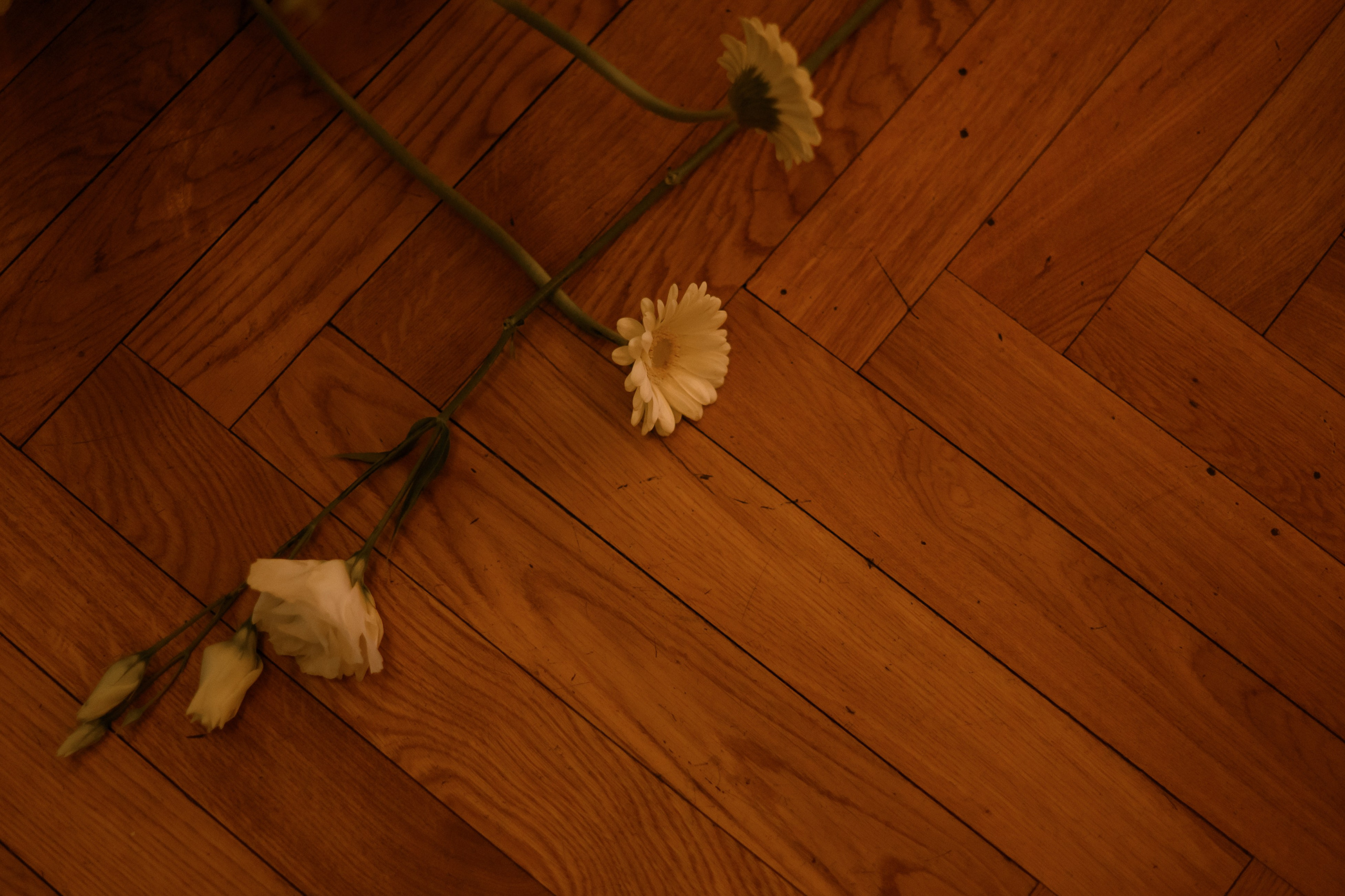 Волга-волга. Свадебный фотограф в Москве Владимир Симонов