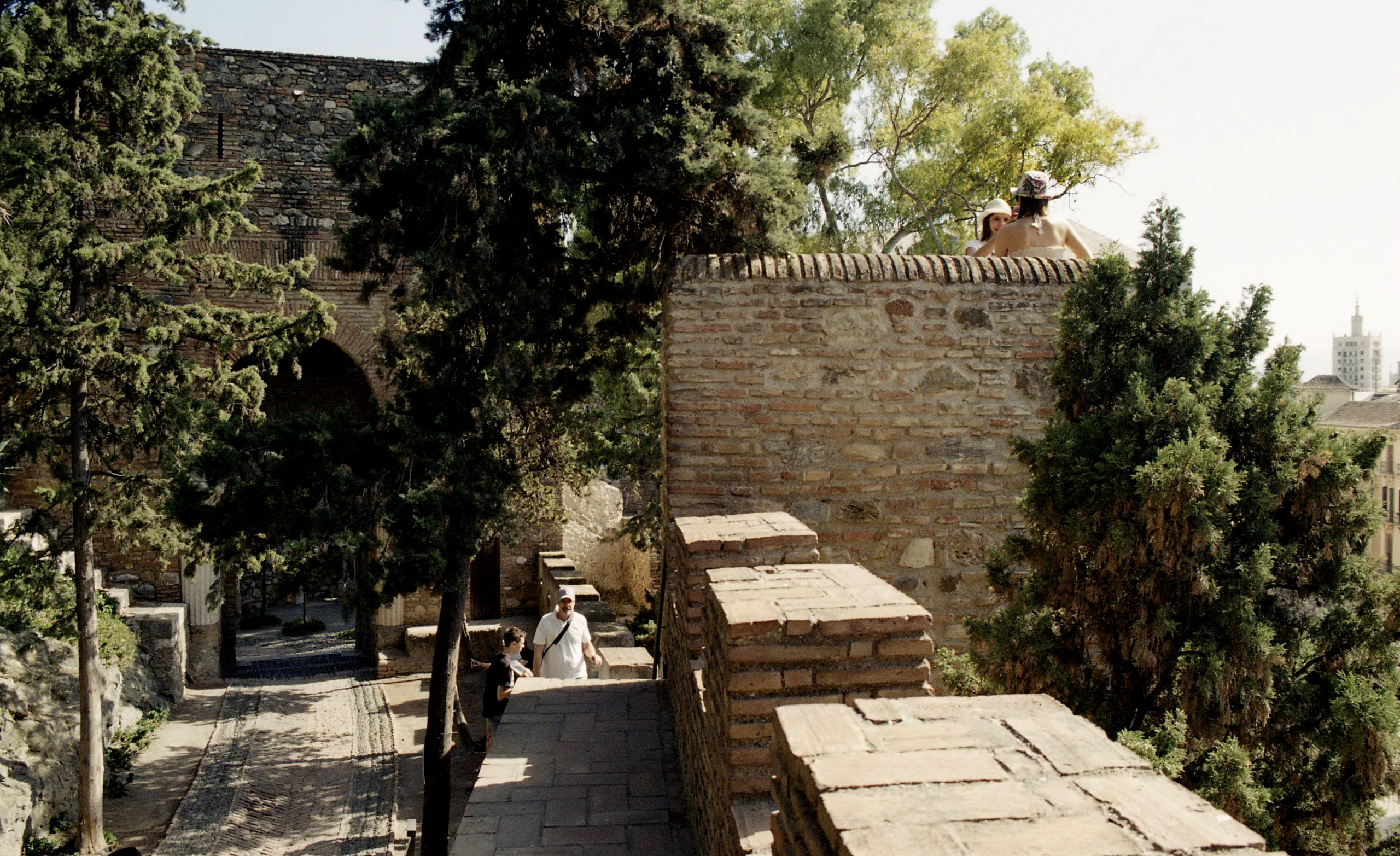 Испания, Андалусия. Елена Никитина. Фотохудожник. Пленочная фотография. Принты