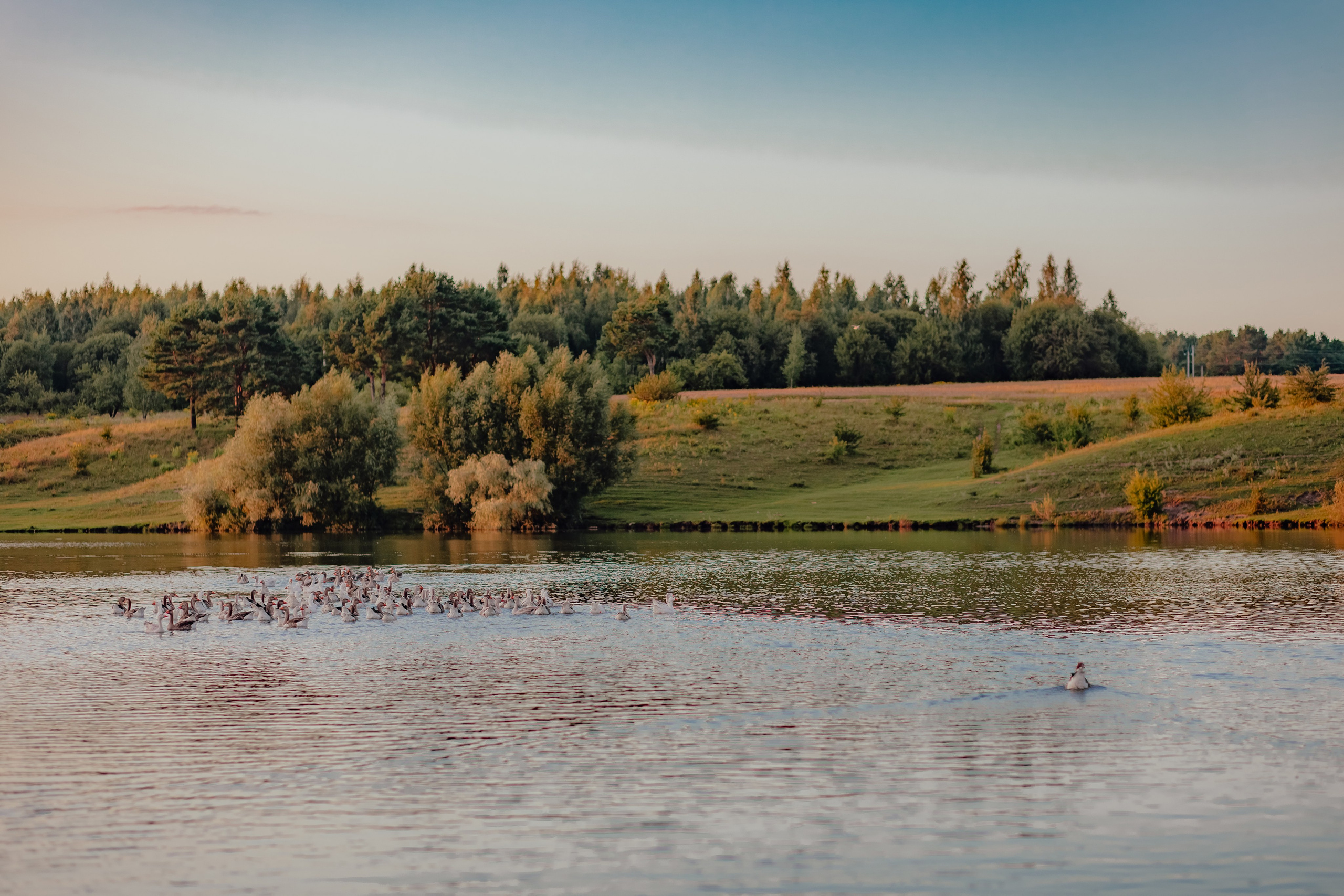 Толмачевский пруд. Семейный и детский фотограф |Брянск| Анастасия Перепелкина