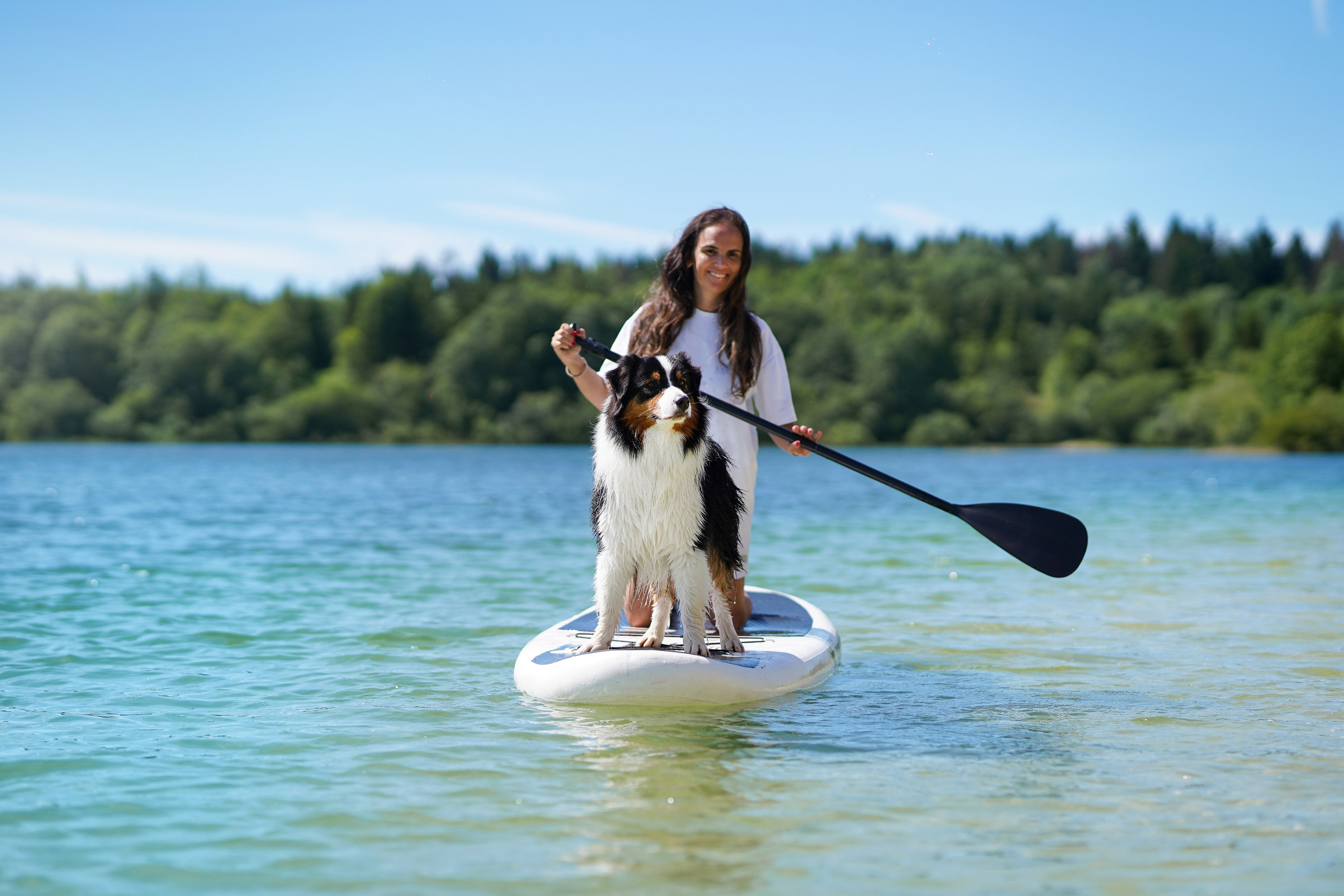 Аусси на карьерах. Фотограф-анималист в Санкт-Петербурге Яна Мартынова