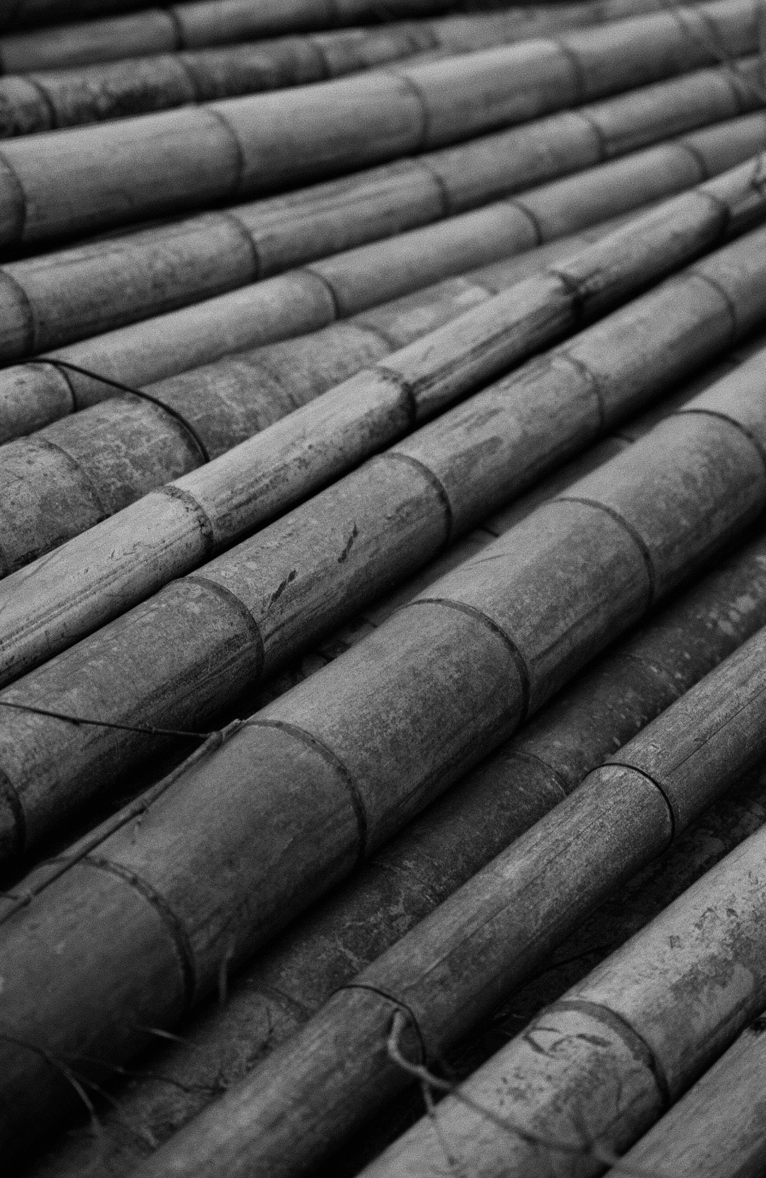 Обои. Главная