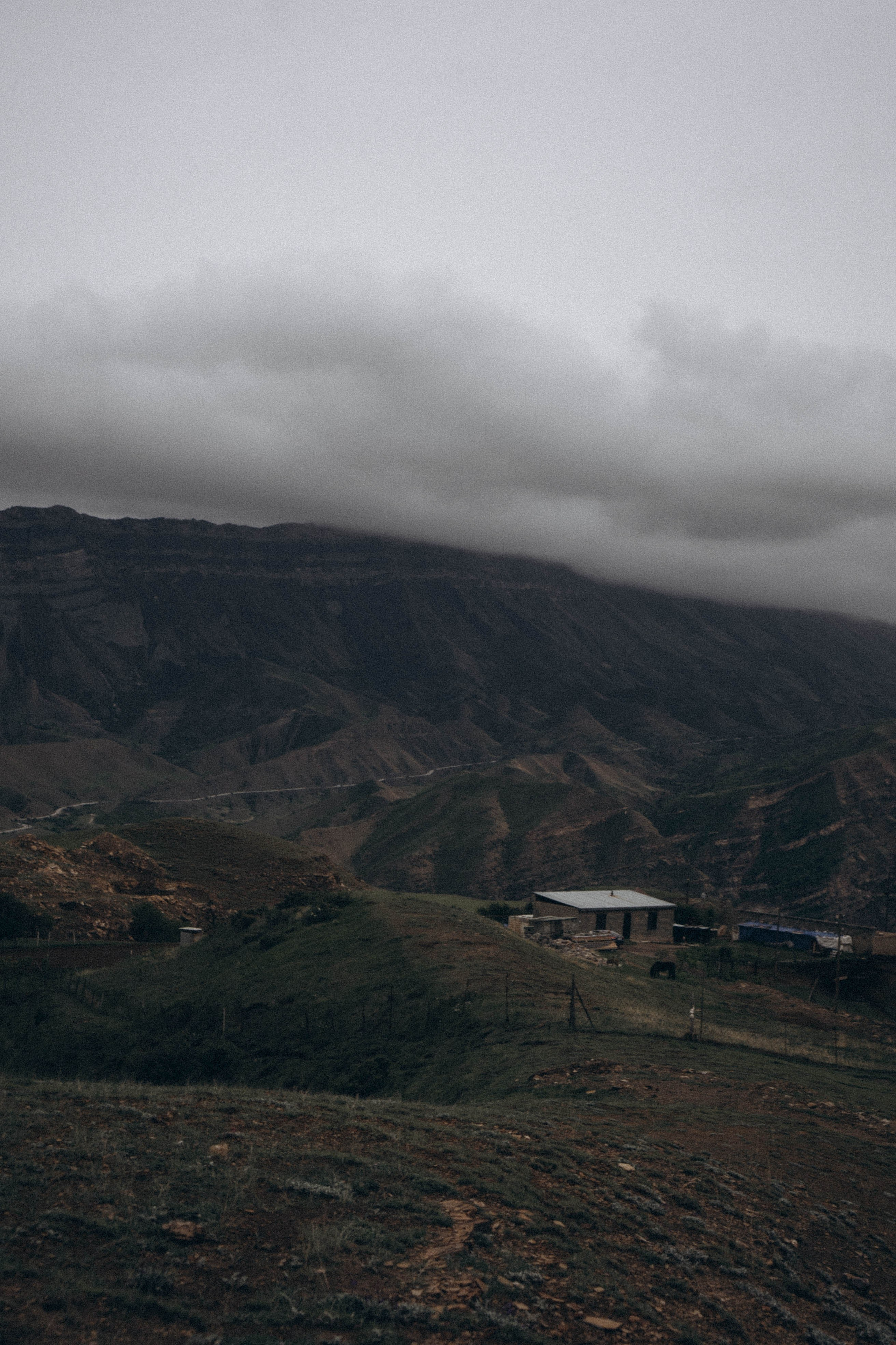 Кавказ. Профессиональный фотограф, Санкт-Петербург — Виктория Богомолова