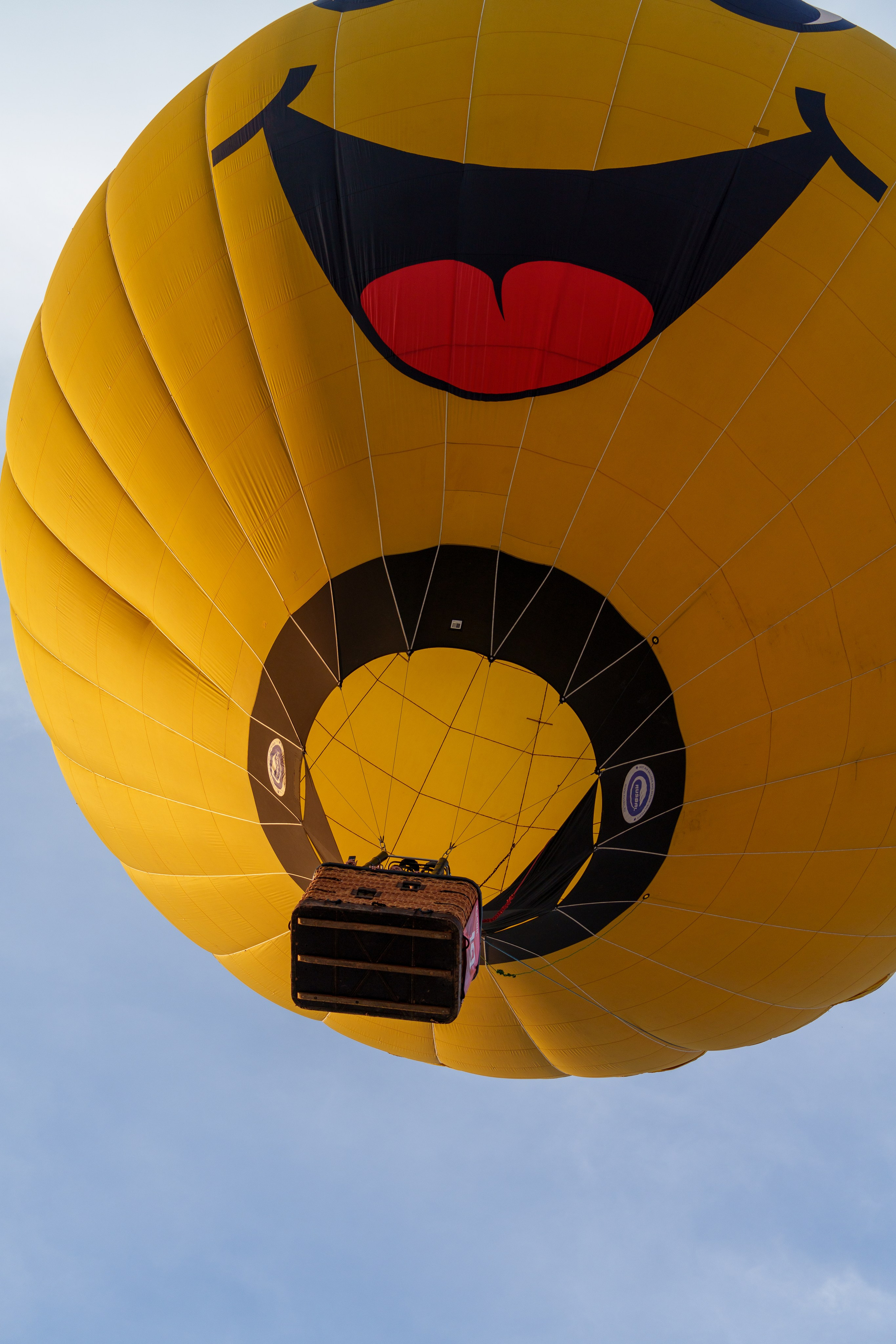 Фиеста Аэростатов. Sunnyman