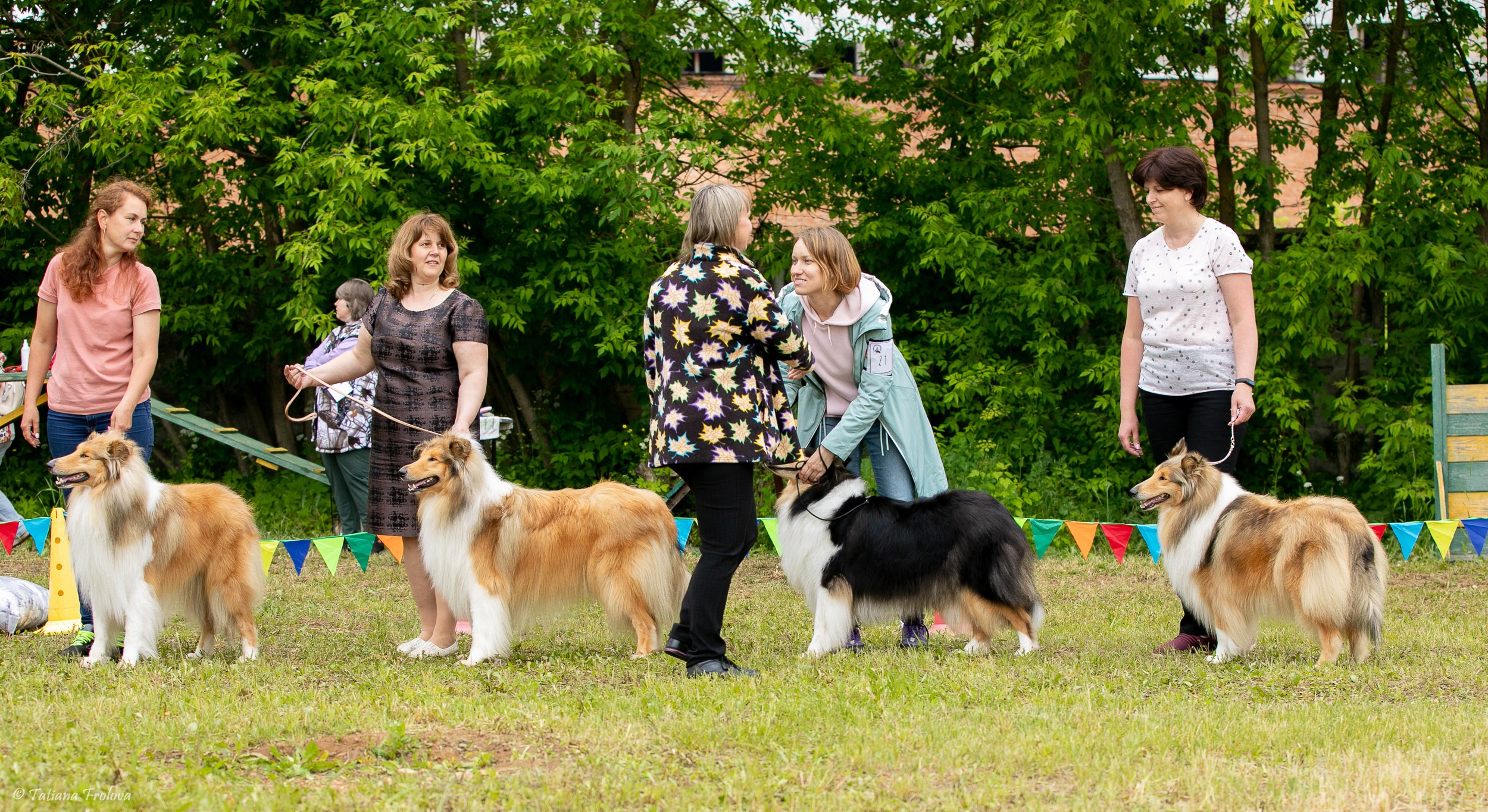 Фотосопровождение выставки собак в Московской области и Москве. Фотограф-анималист в Москве и Московской области Татьяна Фролова