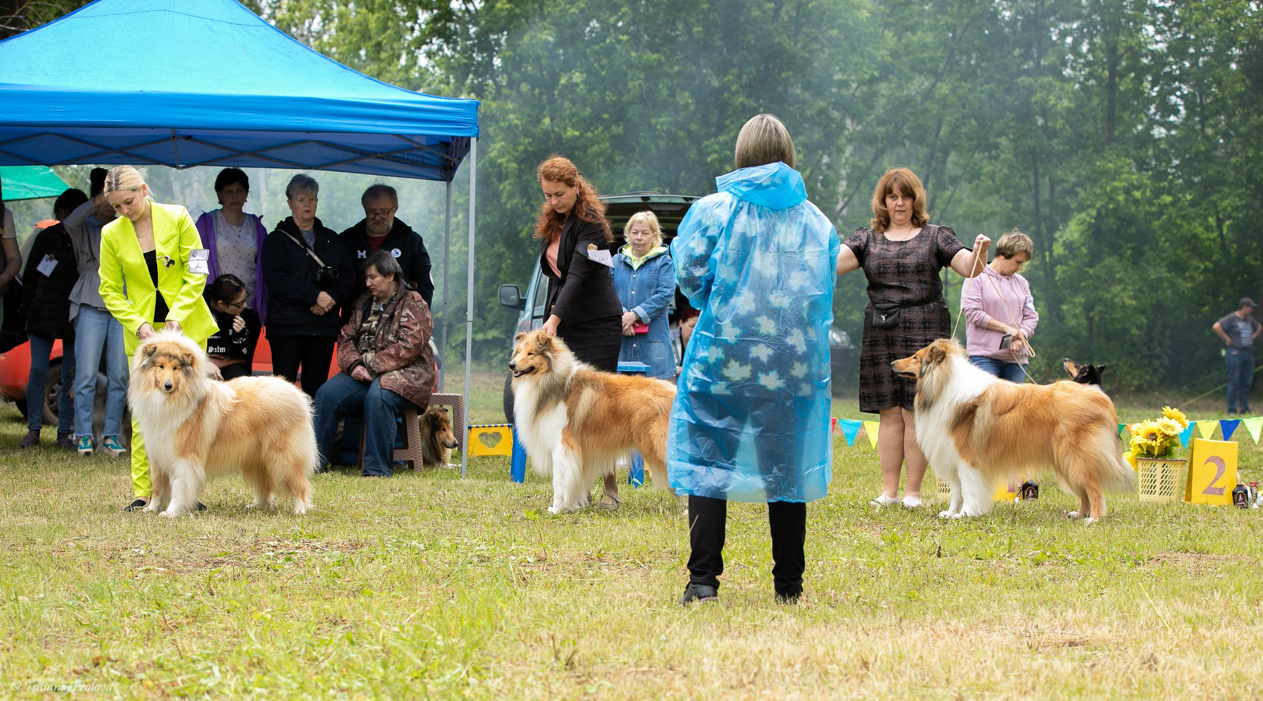 Фотосопровождение выставки собак в Московской области и Москве. Фотограф-анималист в Москве и Московской области Татьяна Фролова