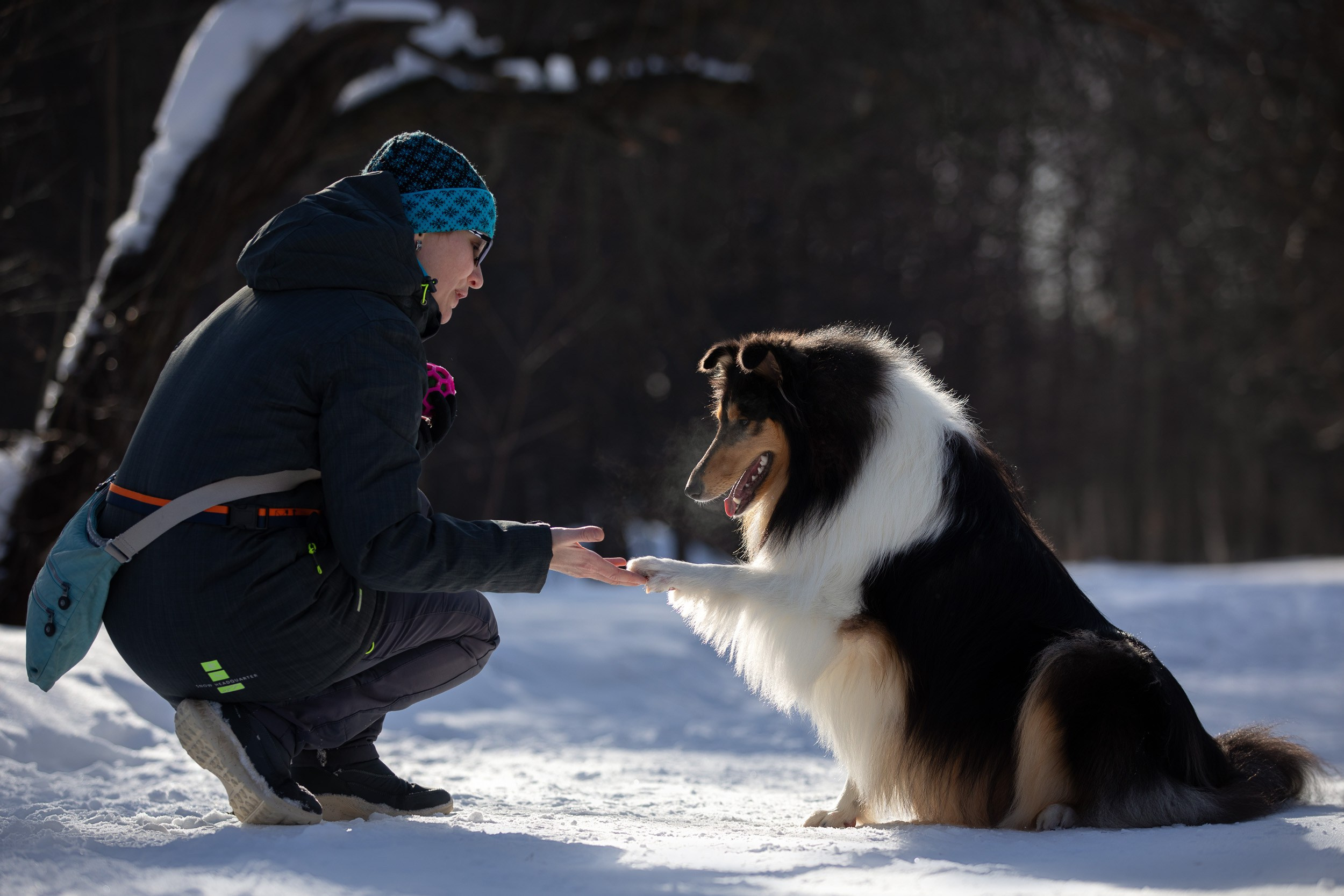 Фотопрогулка с собаками в Царицыно. Фотограф-анималист в Москве и Московской области Татьяна Фролова