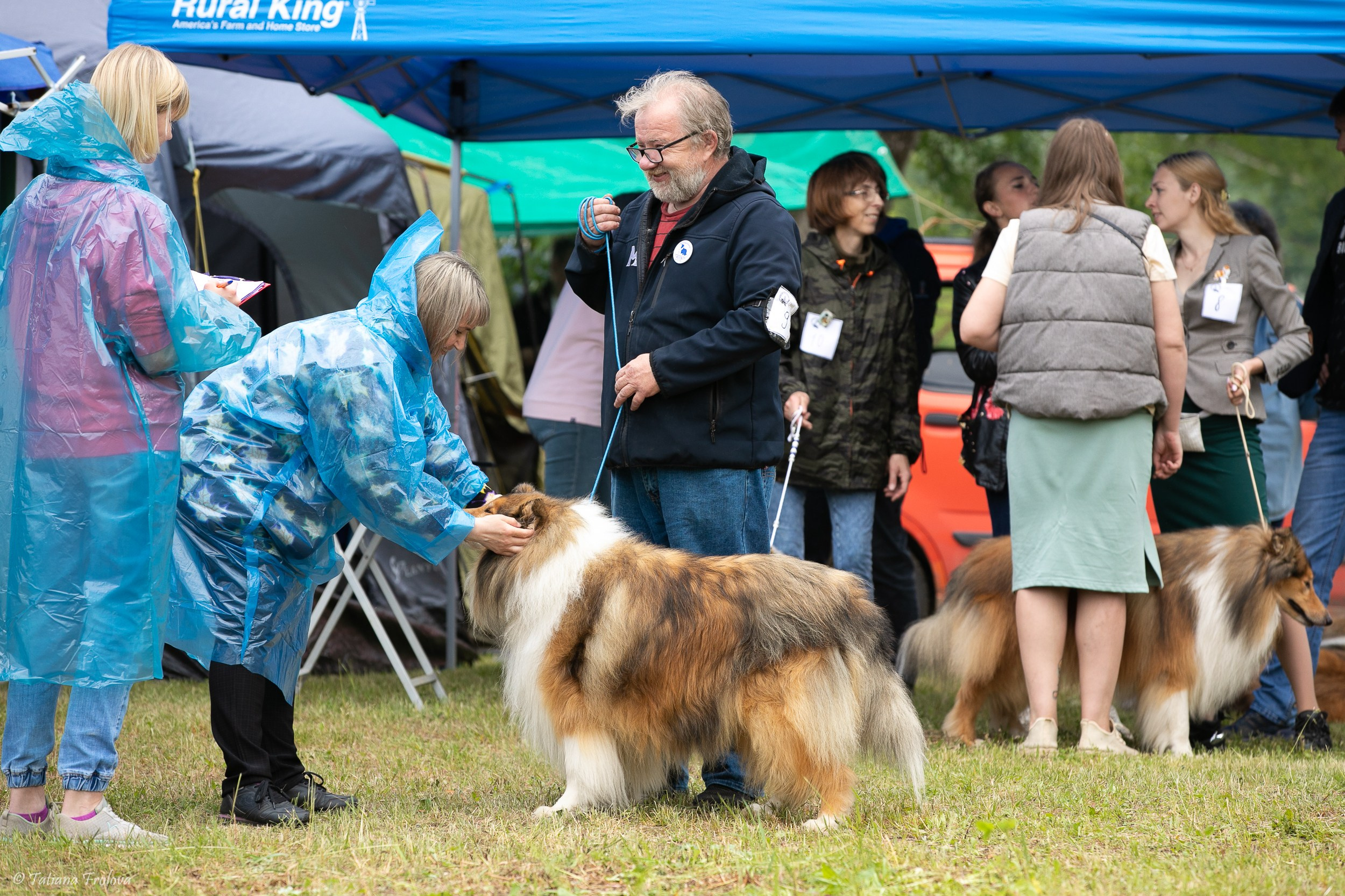 Фотосопровождение выставки собак в Московской области и Москве. Фотограф-анималист в Москве и Московской области Татьяна Фролова