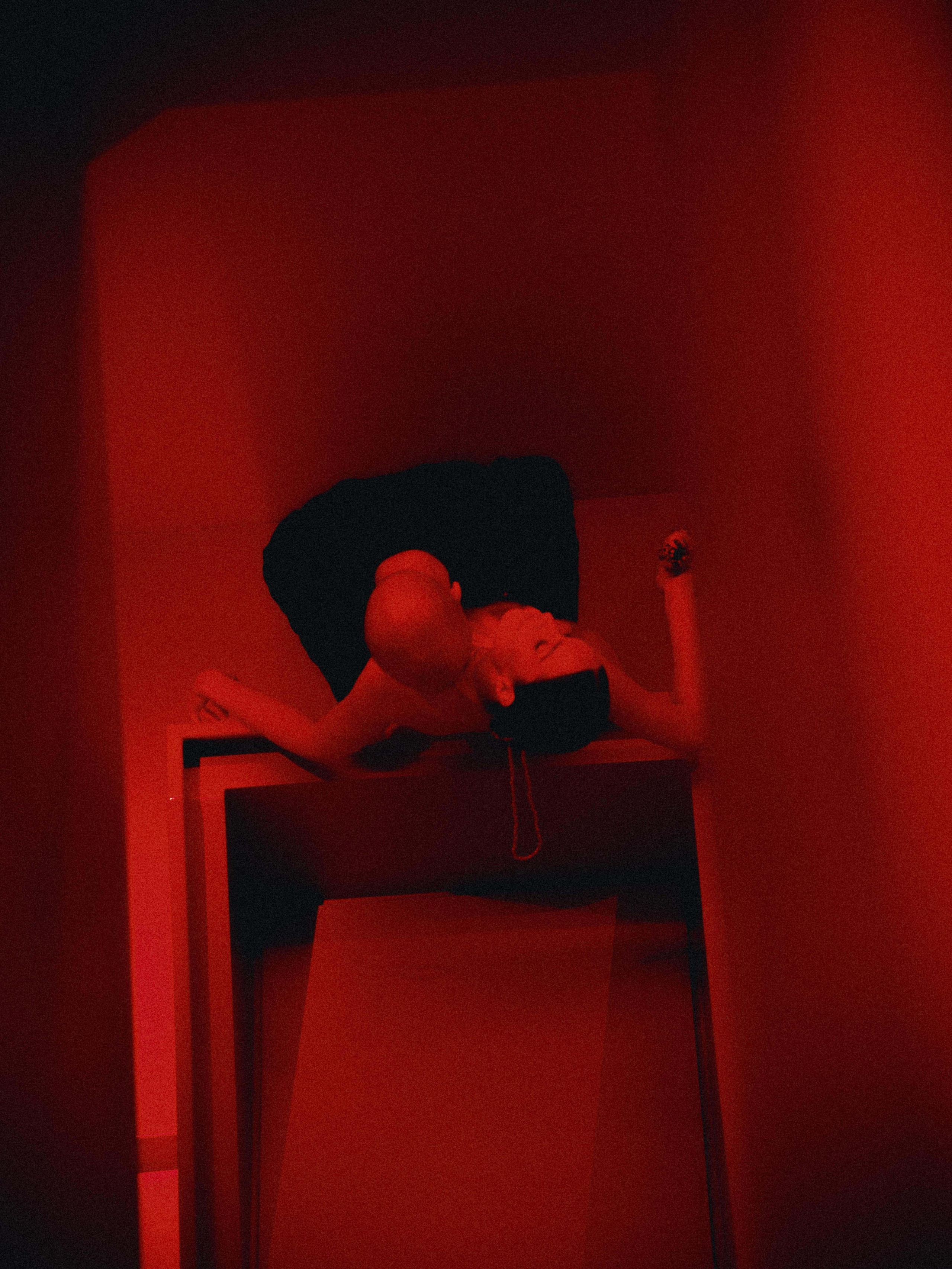 Follow the white rabbit. Вадим Зименков