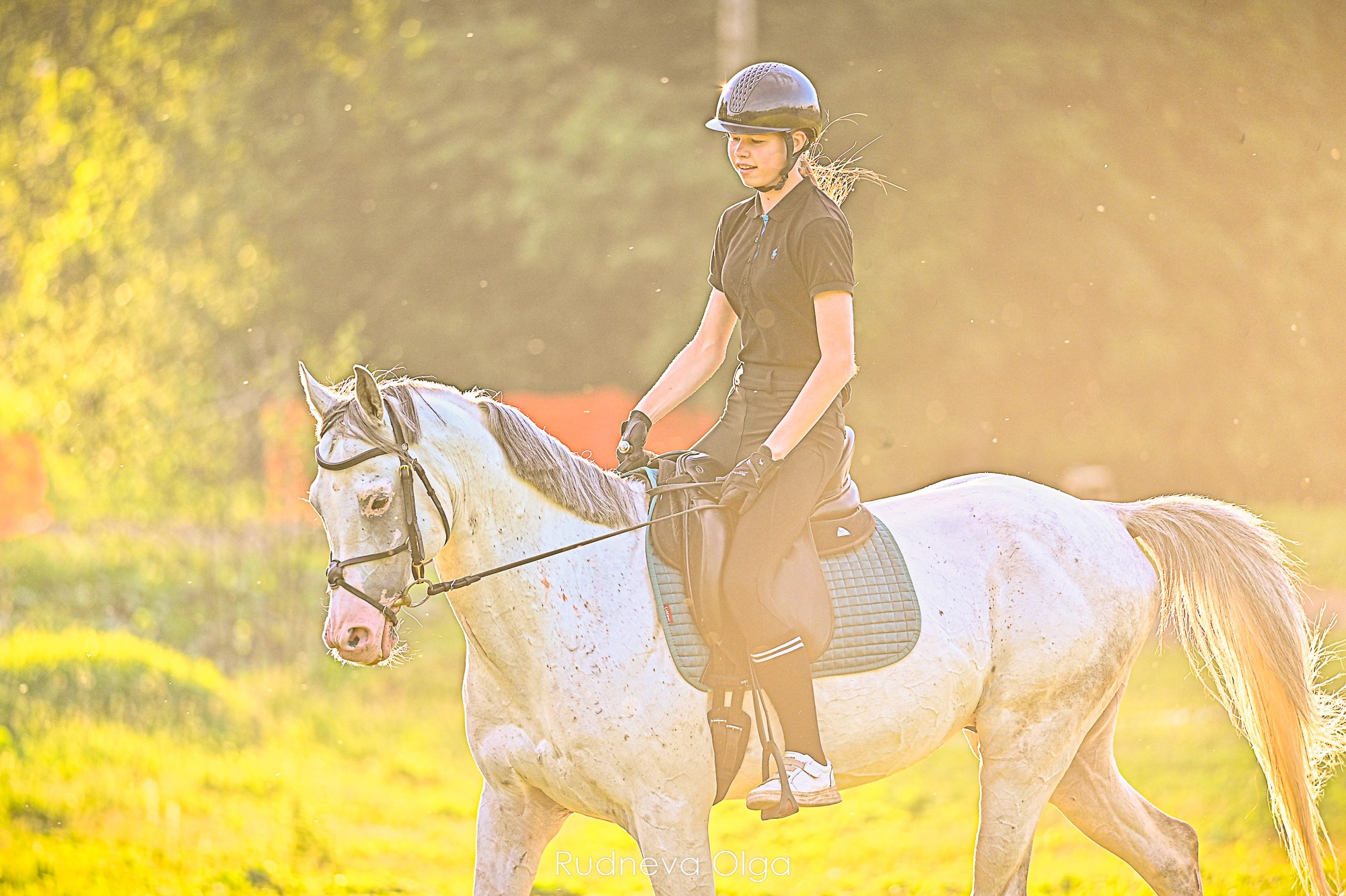 Лошади и их люди. ТУРНИРНАЯ КОННАЯ ФОТОГРАФИЯ, Руднева Ольга и Евгений Адеев