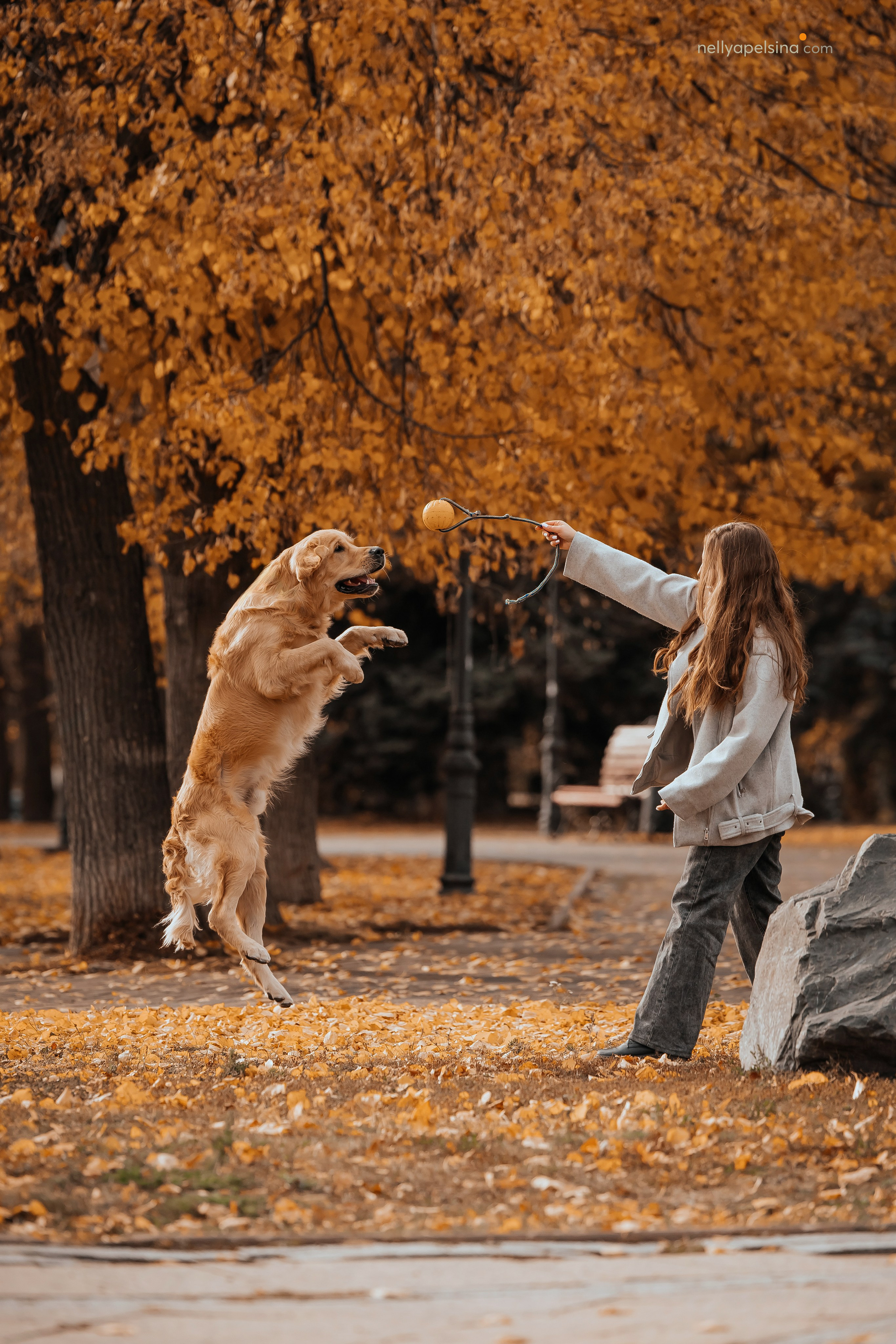 Настя, Дима, Олег и Арчи. Фотограф Нелли Самойлова