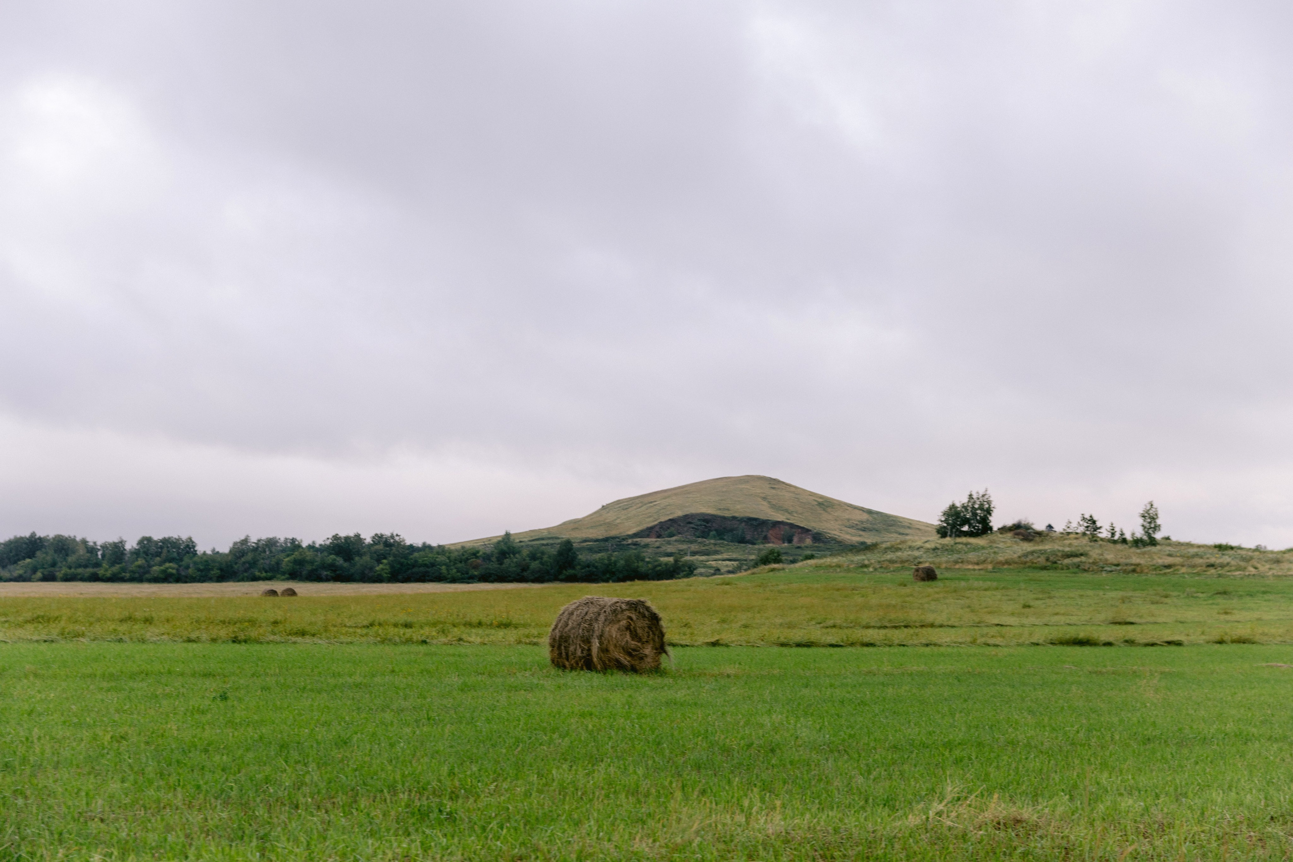 Бесконечность. Даша и Алмаз. Свадебный и семейный фотограф в Магнитогорске Катя Буряк