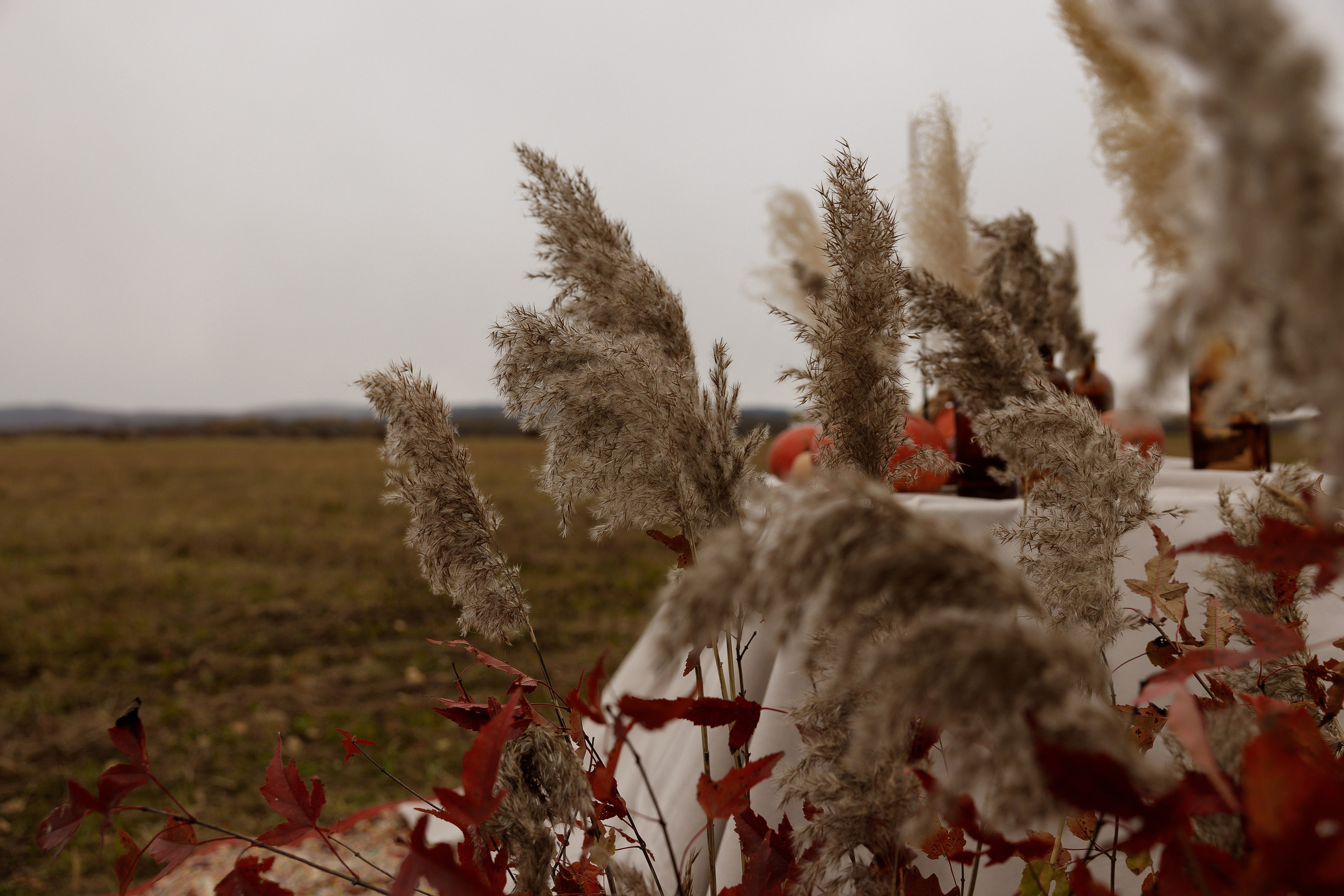 Ясная Поляна. Свадебный и семейный фотограф  во Владивостоке Ольга Украинец