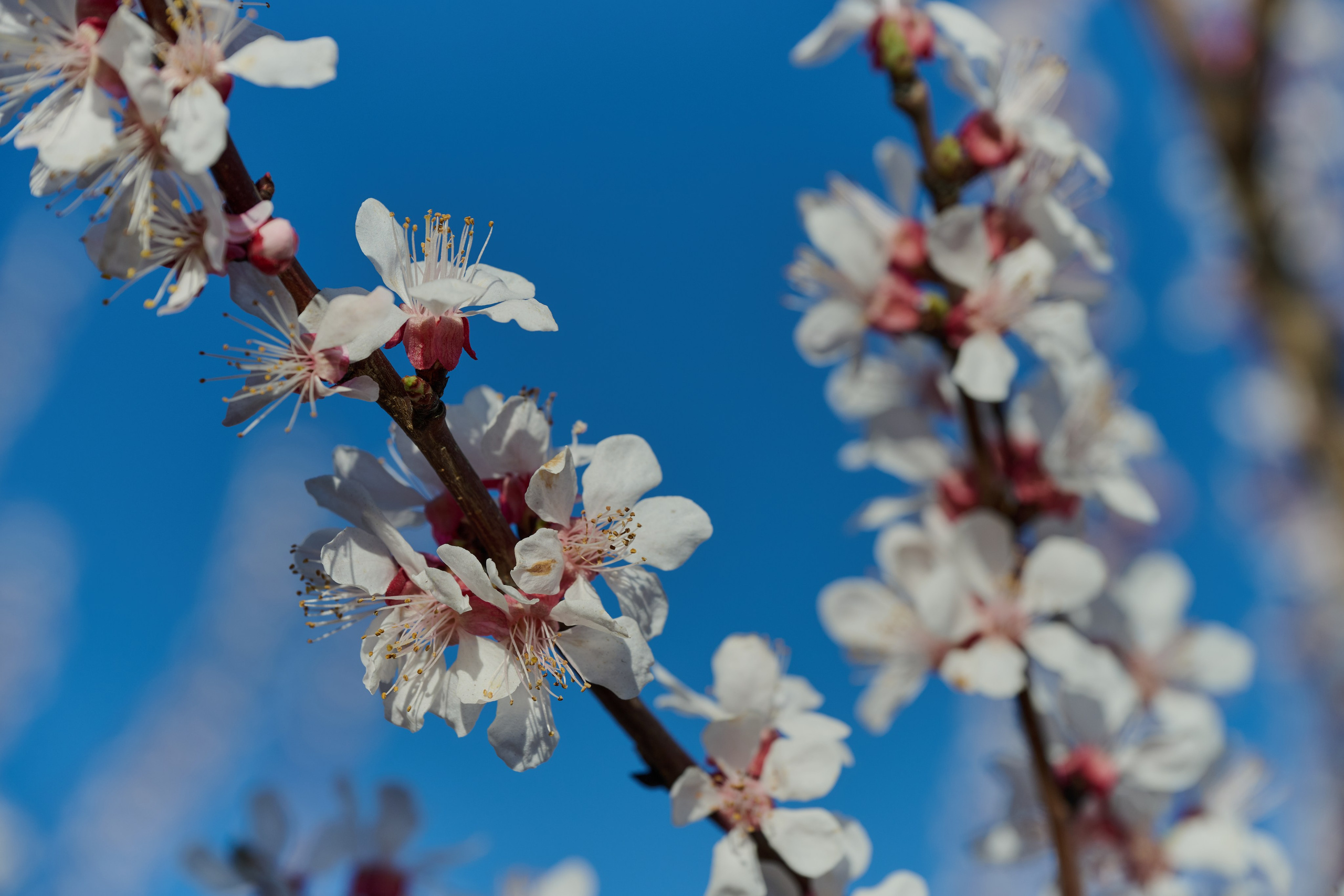 Мелитополь. Фотопроект «Территории»