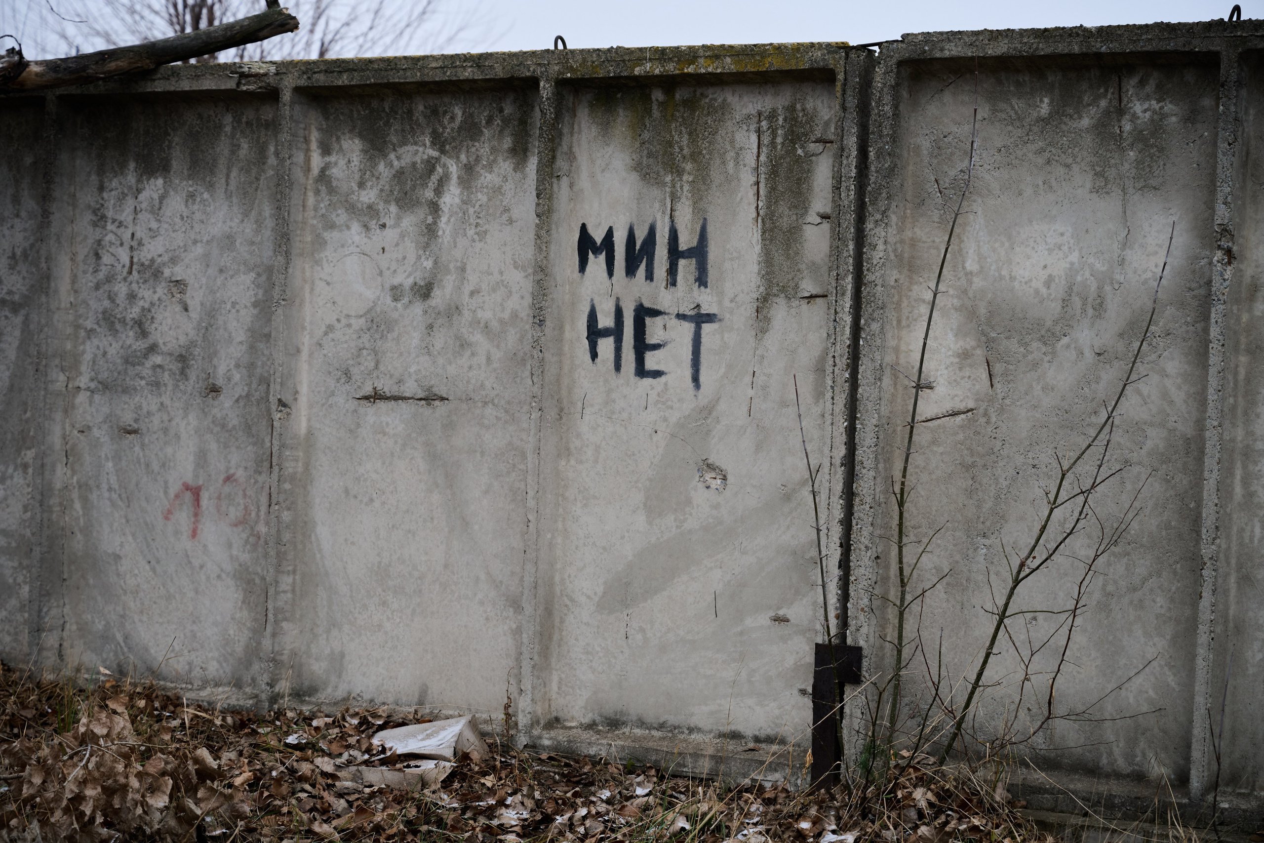 Фото для презентации фотопроекта «Территории». Фотопроект «Территории»