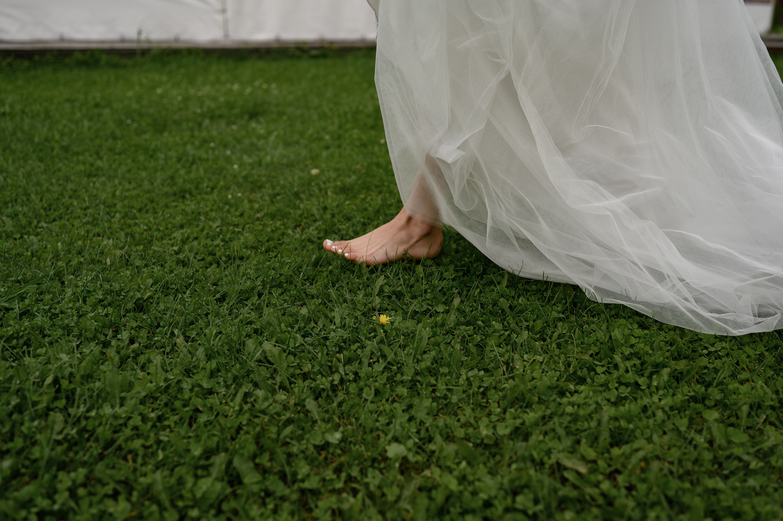 Свадебное портфолио. Свадебный и Семейный фотограф в Абакане, Красноярске