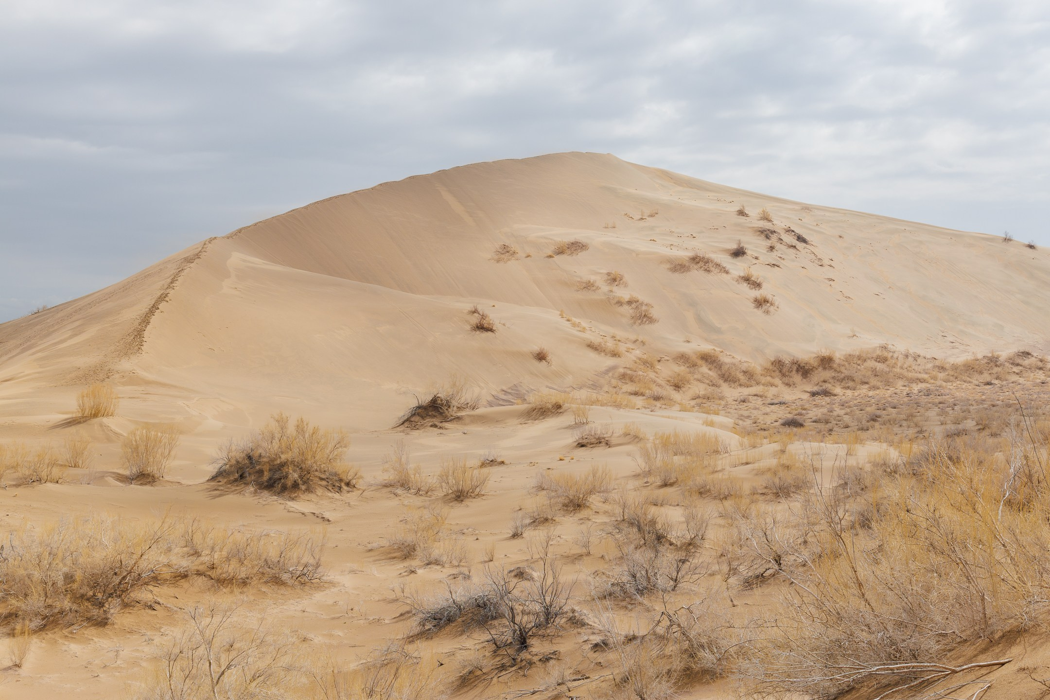 Фотосессия на поющем бархане национальный парк Казахстана Алтын Эмель. Dmitriigoliapov.ru