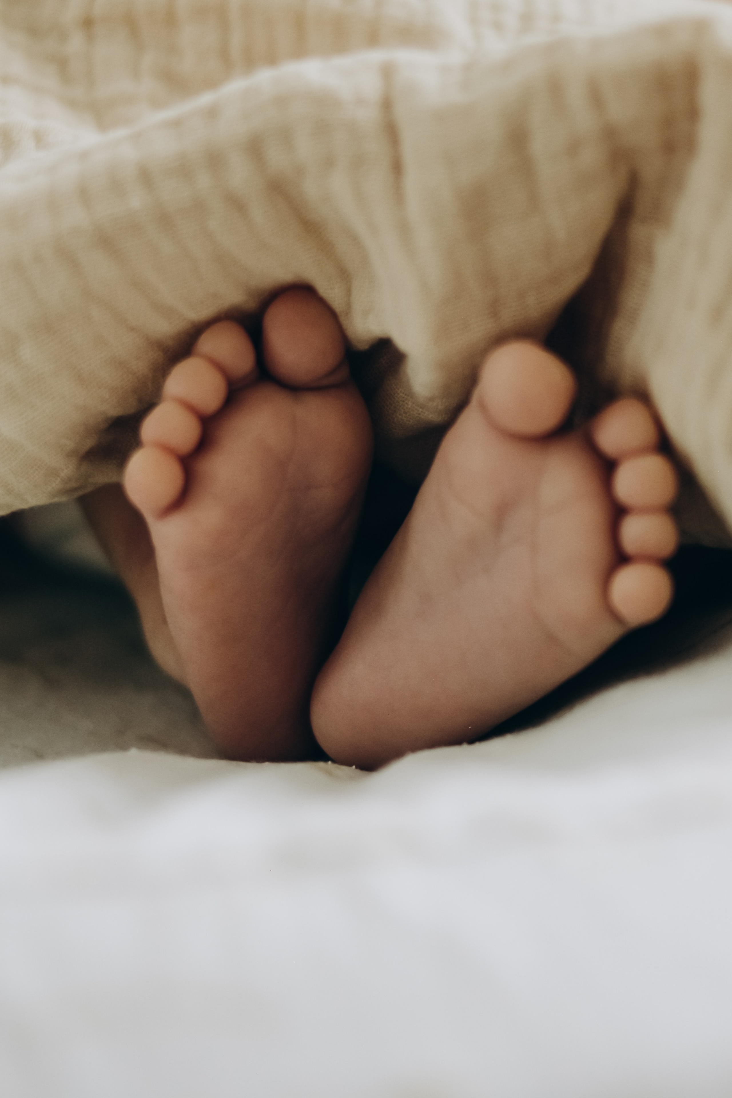 Домашняя 23.08.2025. Свой фотограф Нижний Новгород