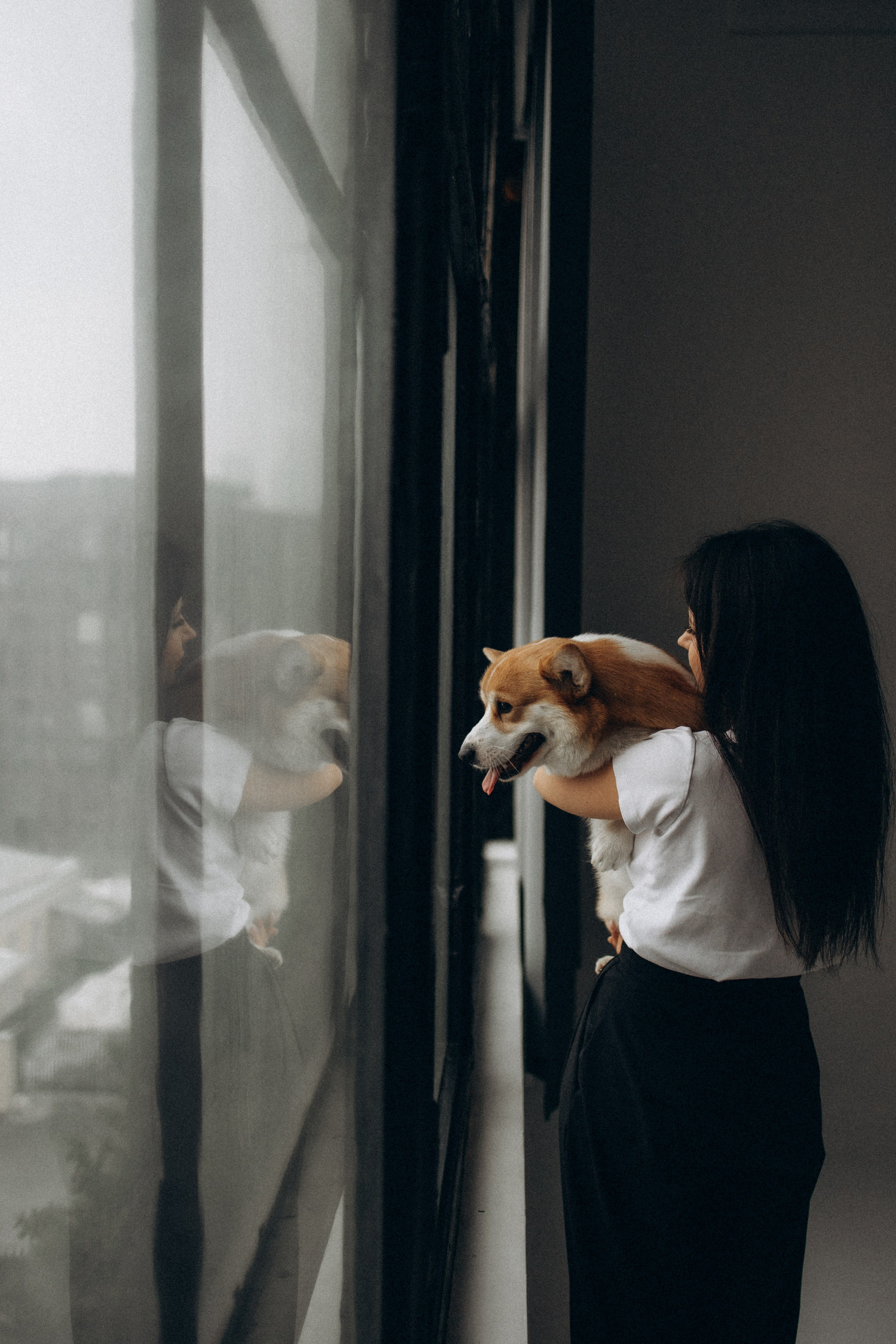 Зевс и его семья. Фотораф — анималист Мария Шистка