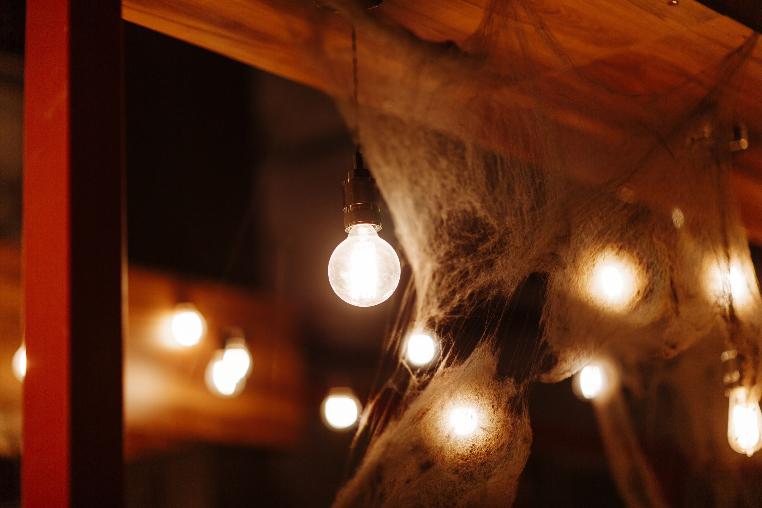 Корпоратив компании Trace. Свадебный фотограф в Санкт-Петербурге