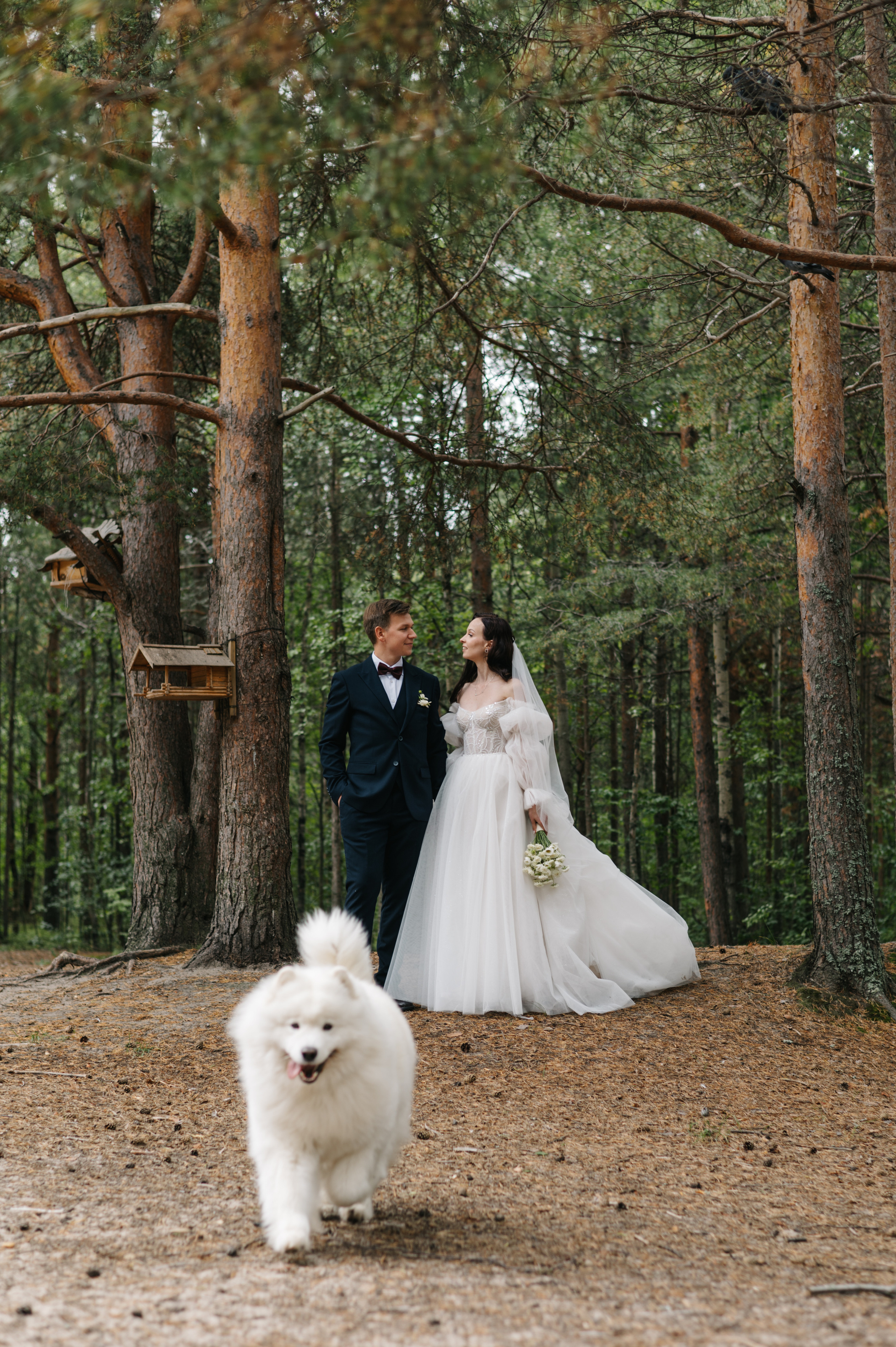 Алина и Вадим. Фотограф Архангельск