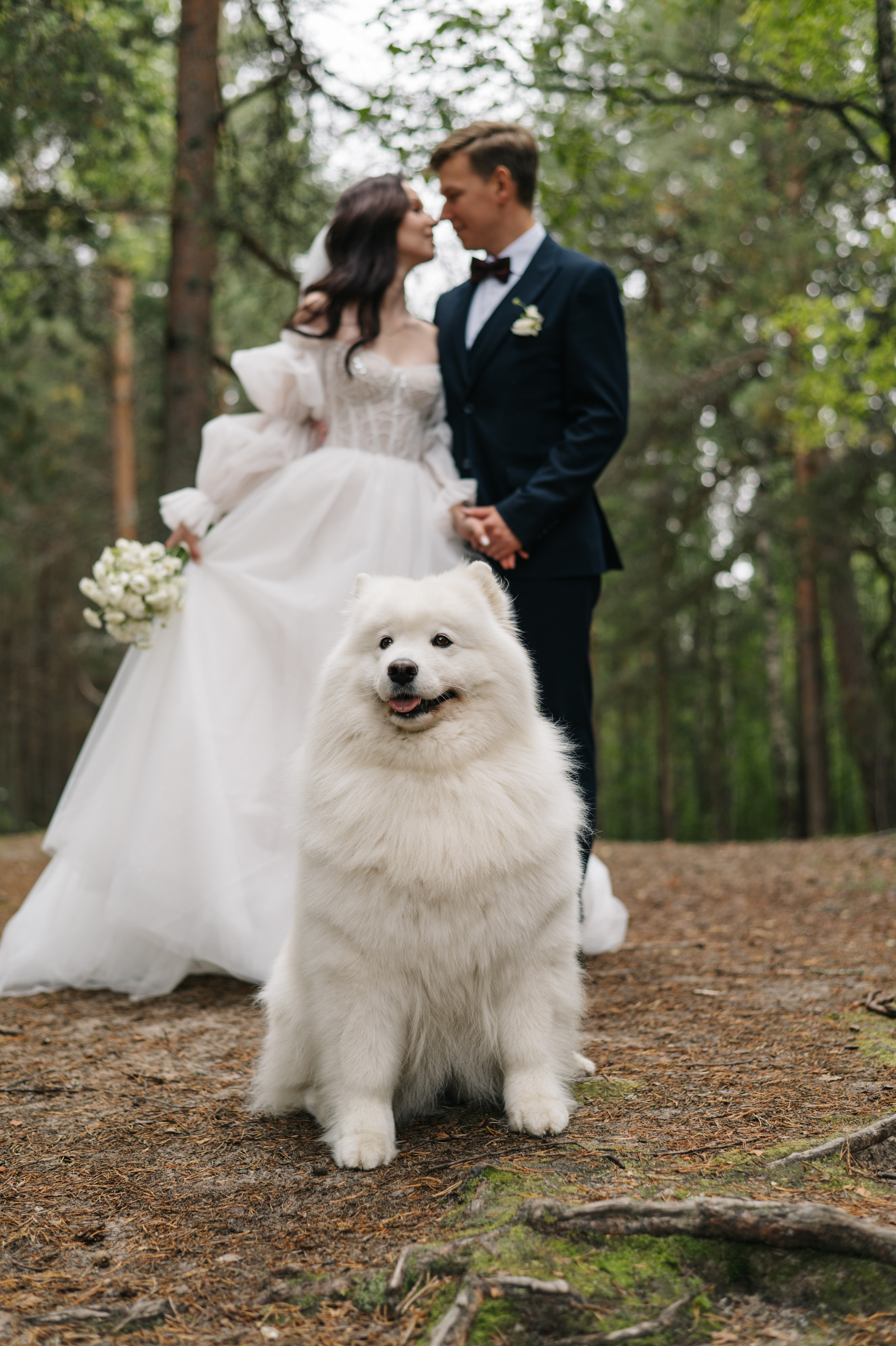 Алина и Вадим. Фотограф Архангельск