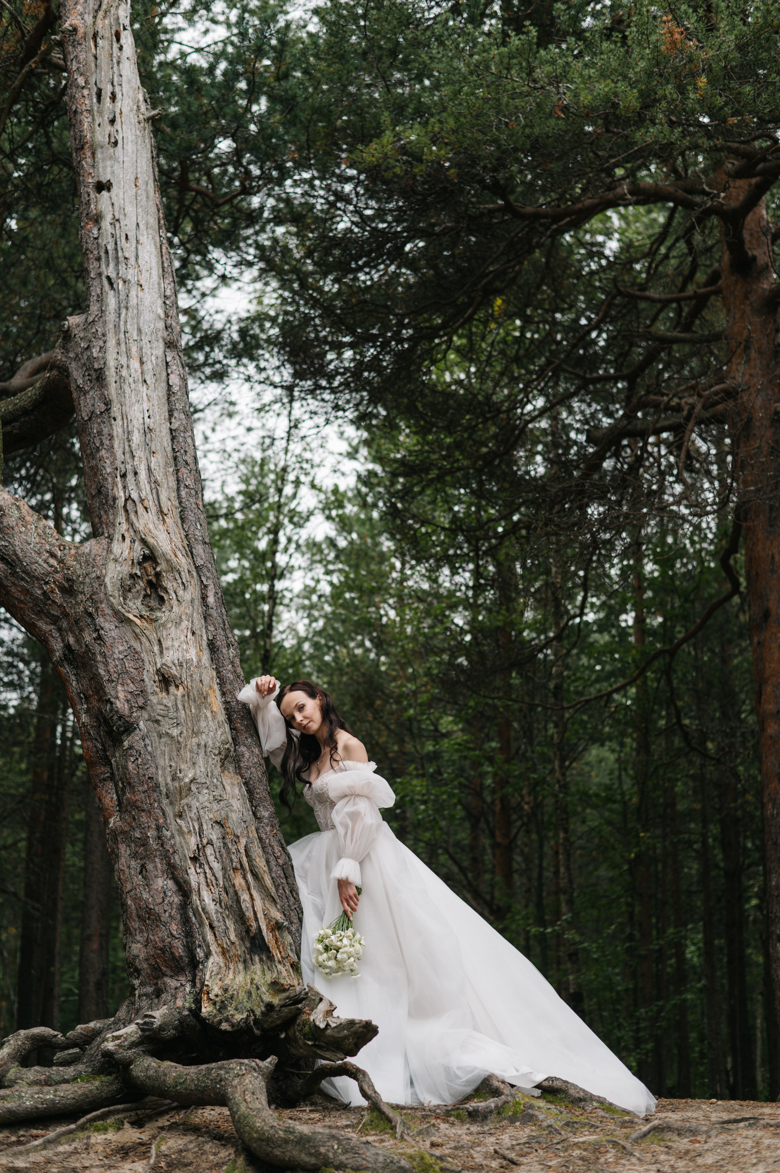 Алина и Вадим. Фотограф Архангельск