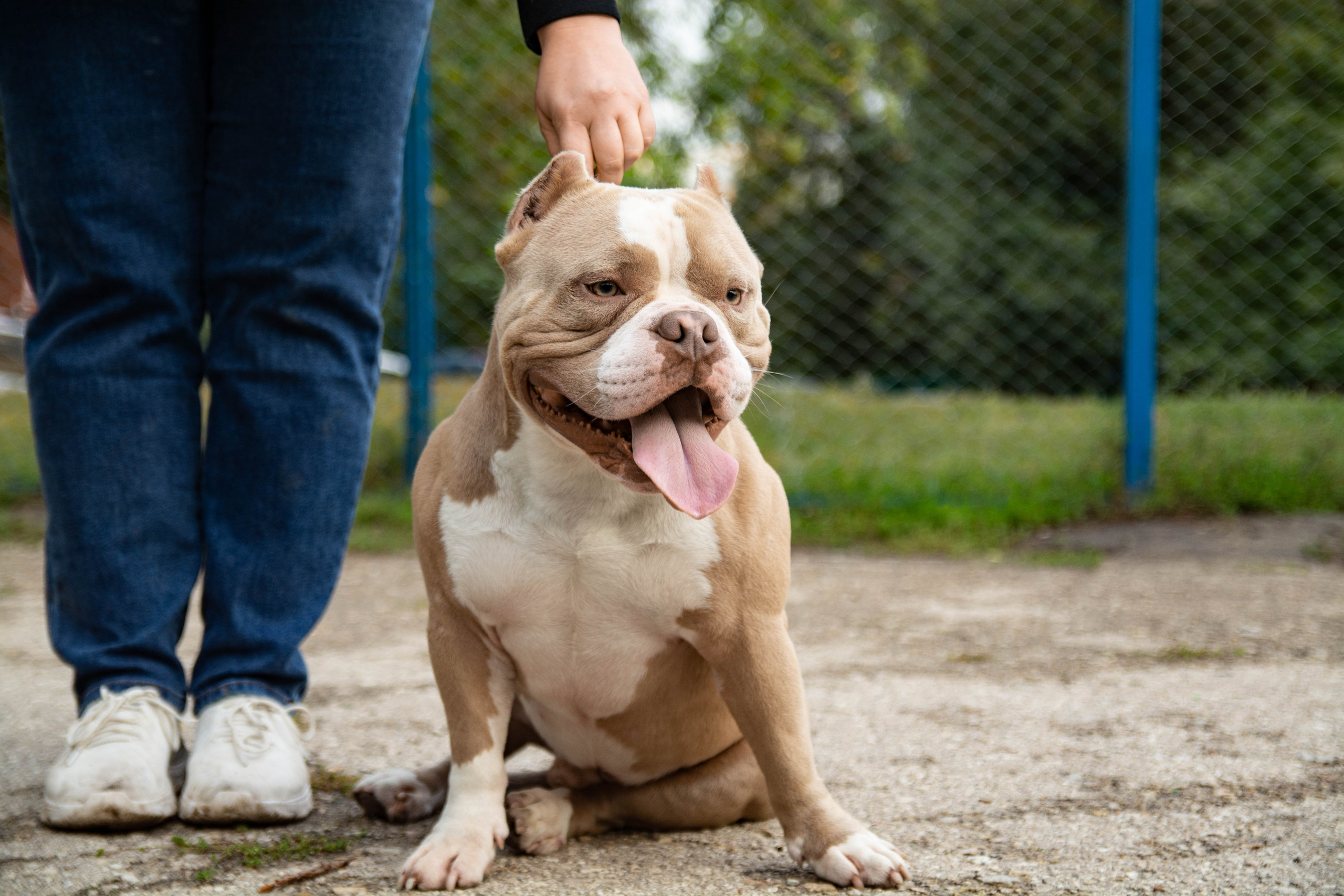 Фотосъёмка животных. Вадим Малянов — фотограф / видеограф в Саратове