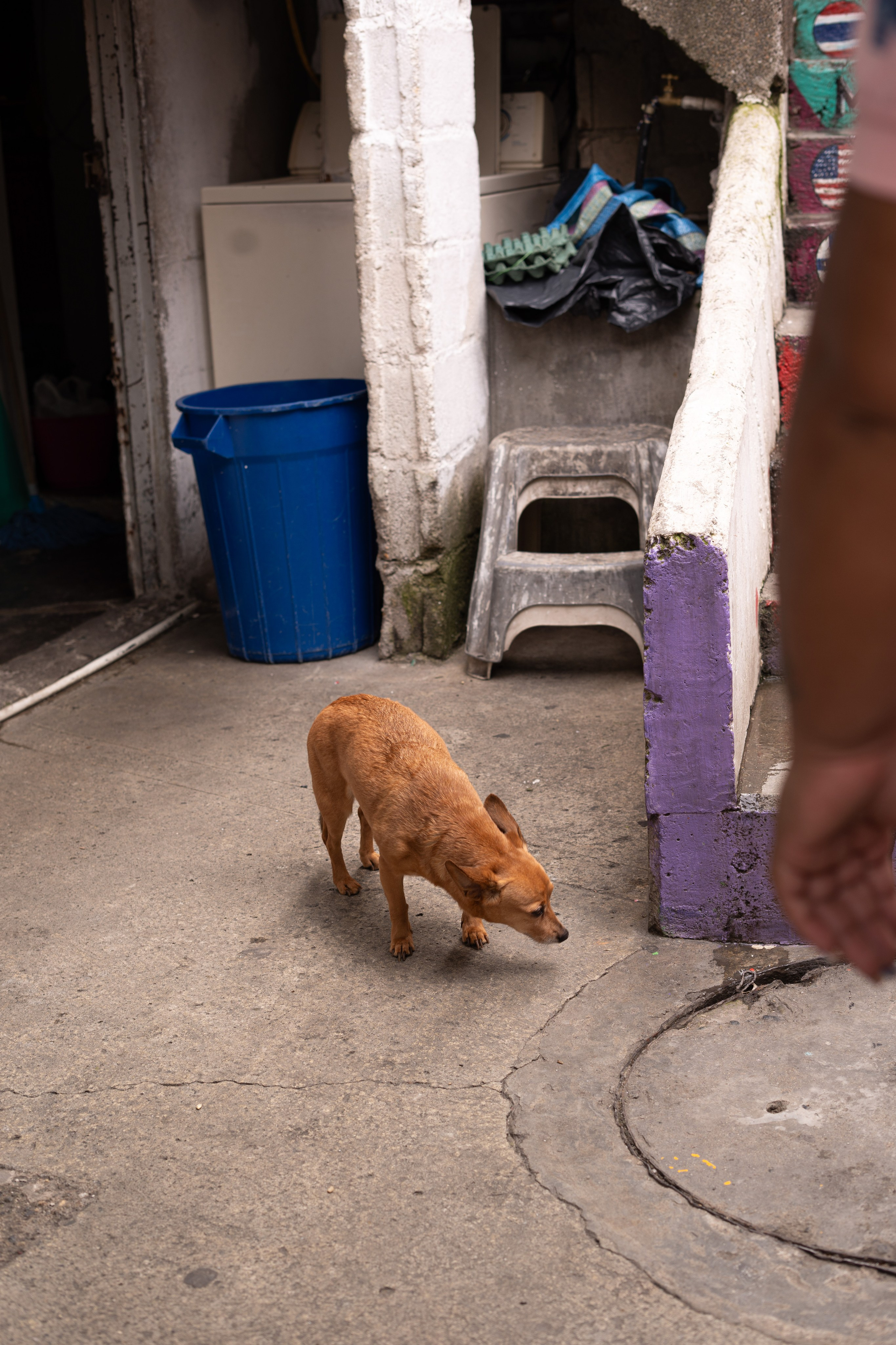 Jess in Communa 13. Wedding Photographer in Barcelona and Medellin