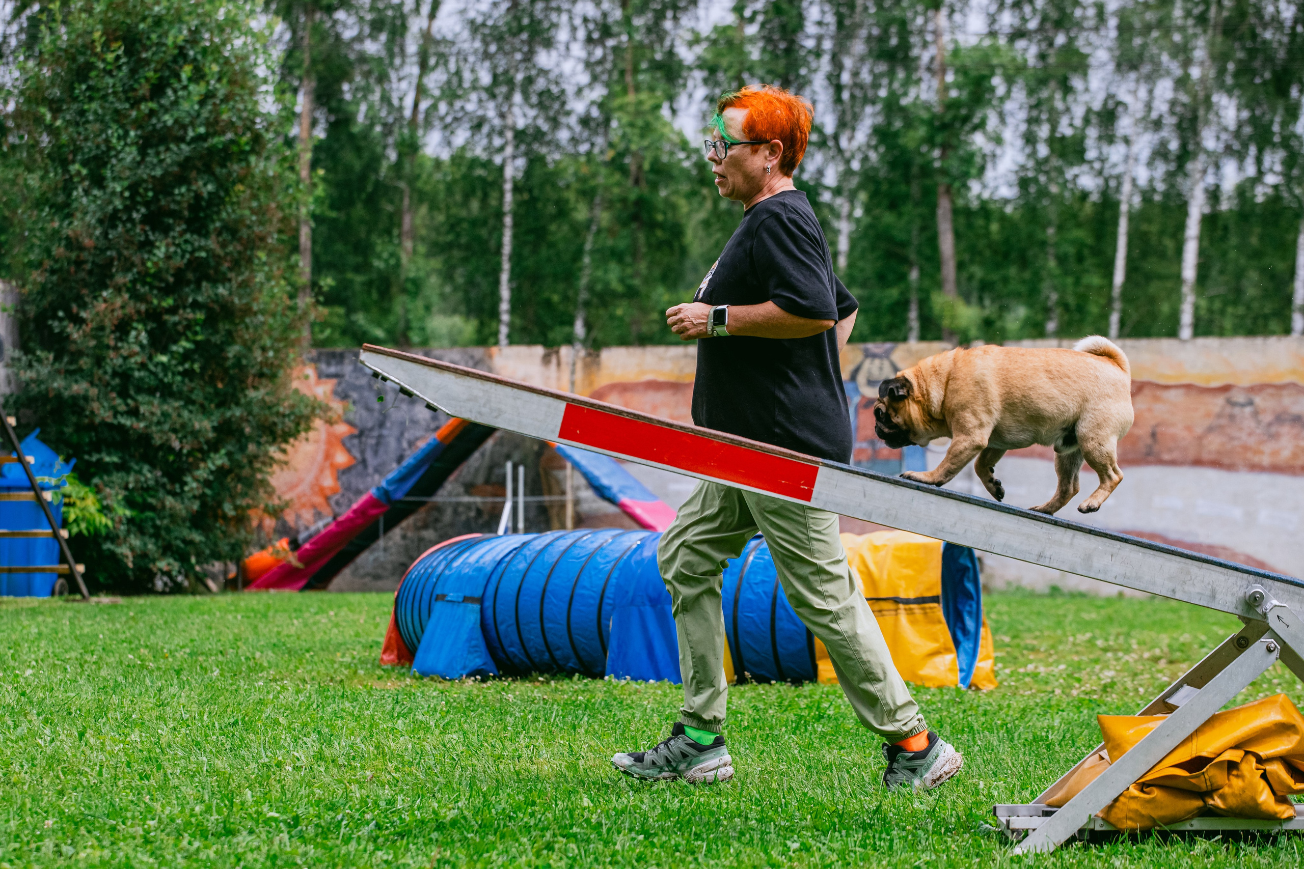 Соревнования по аджилити Долгопрудный 30.06.2025. Фотограф-анималист Татьяна Степанова