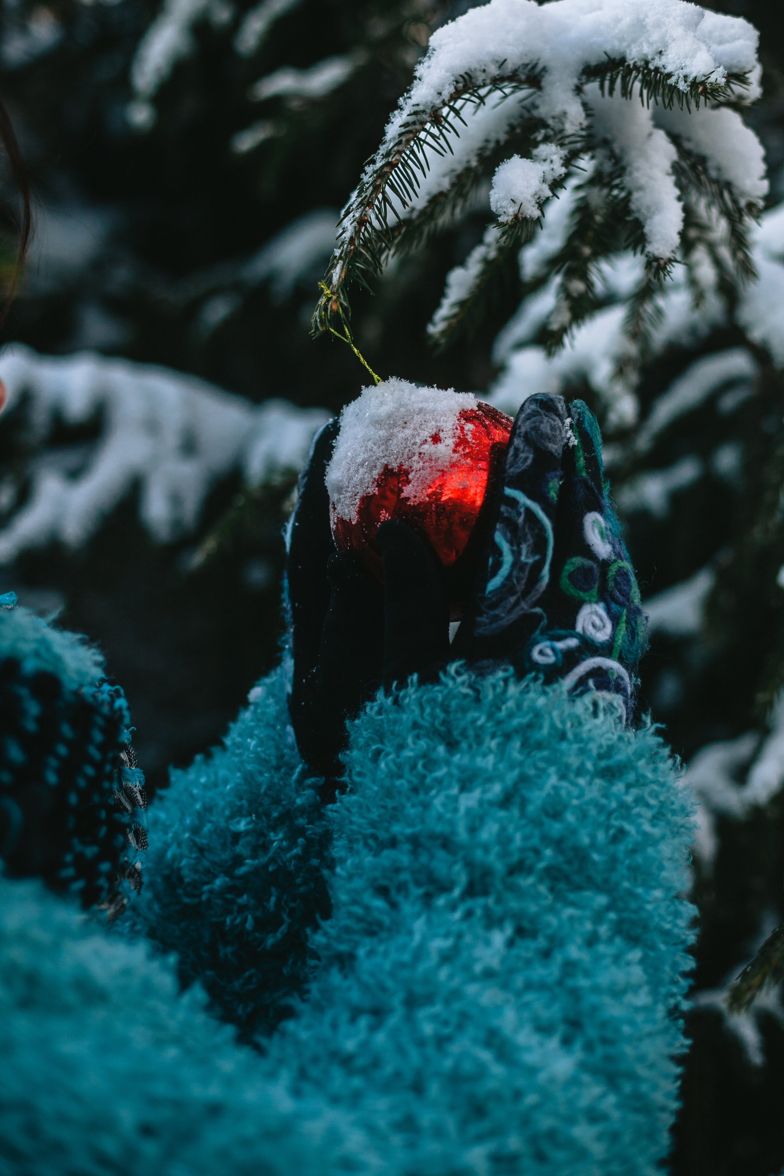 Зингер дача. Фотограф-анималист Татьяна Степанова