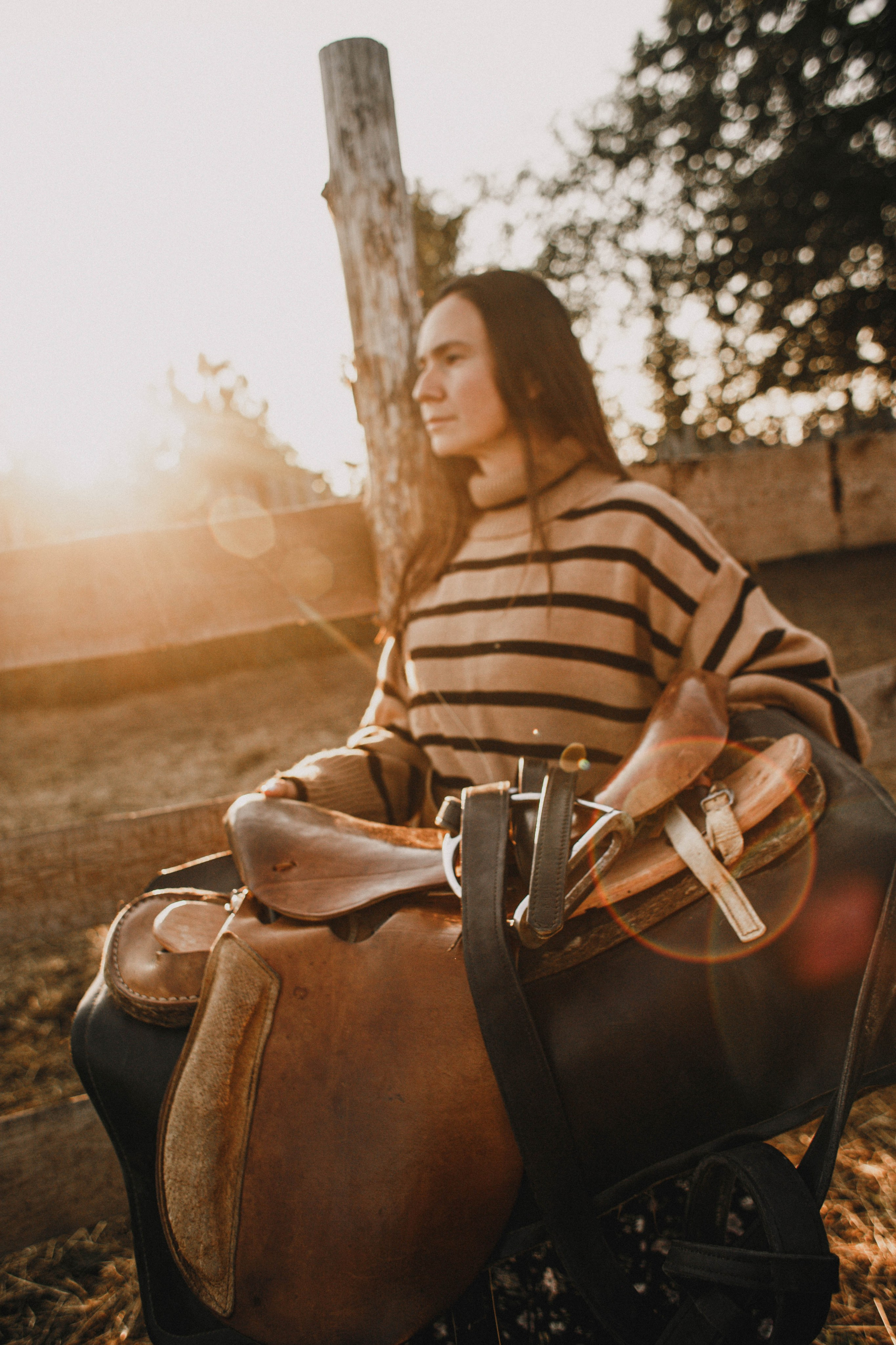 Варвара. Лошади. Закат. Фотограф в Нижнем Новгороде