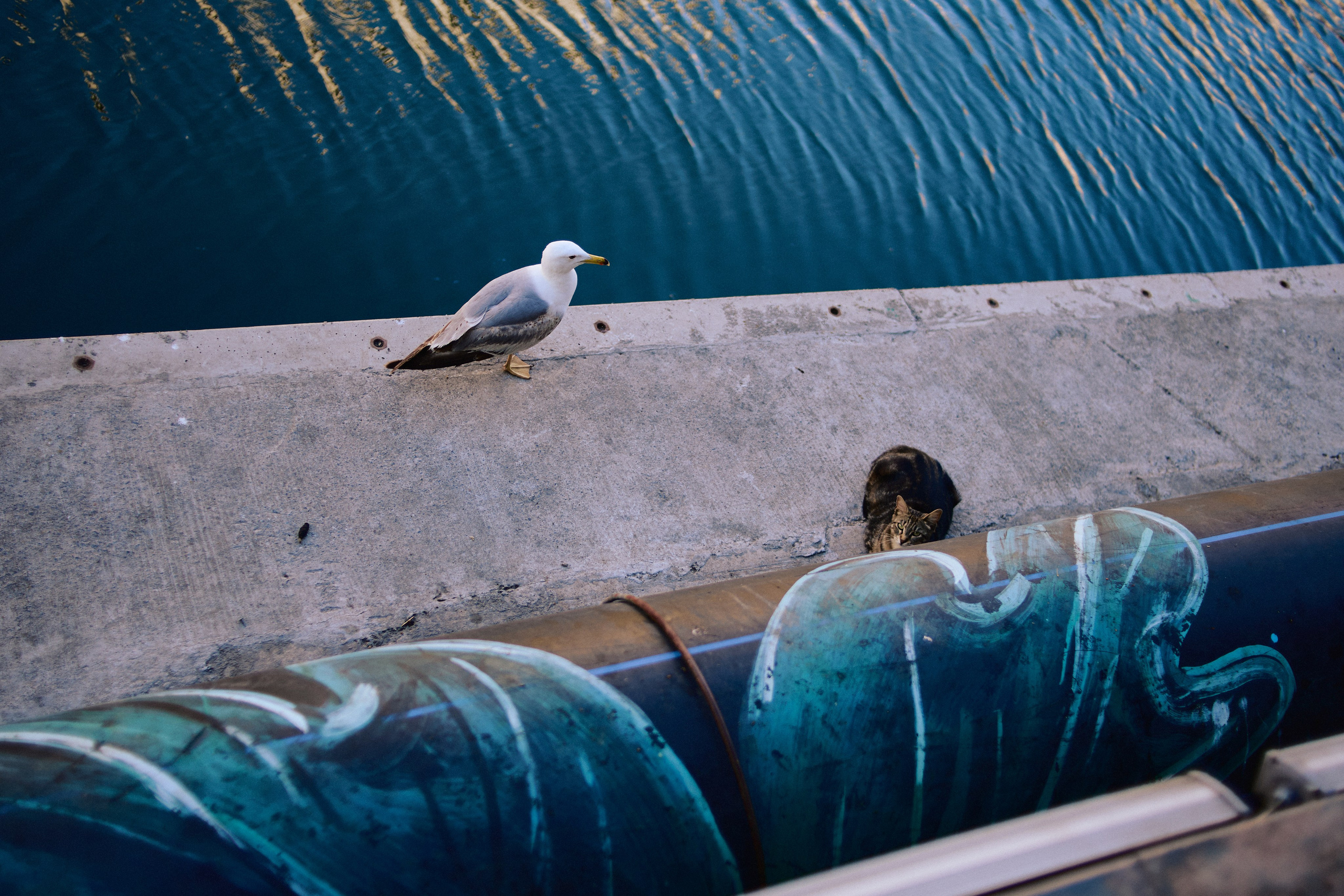 Улица горизонтальная. Jorgis — фотограф в Хургаде / обучение фотографии