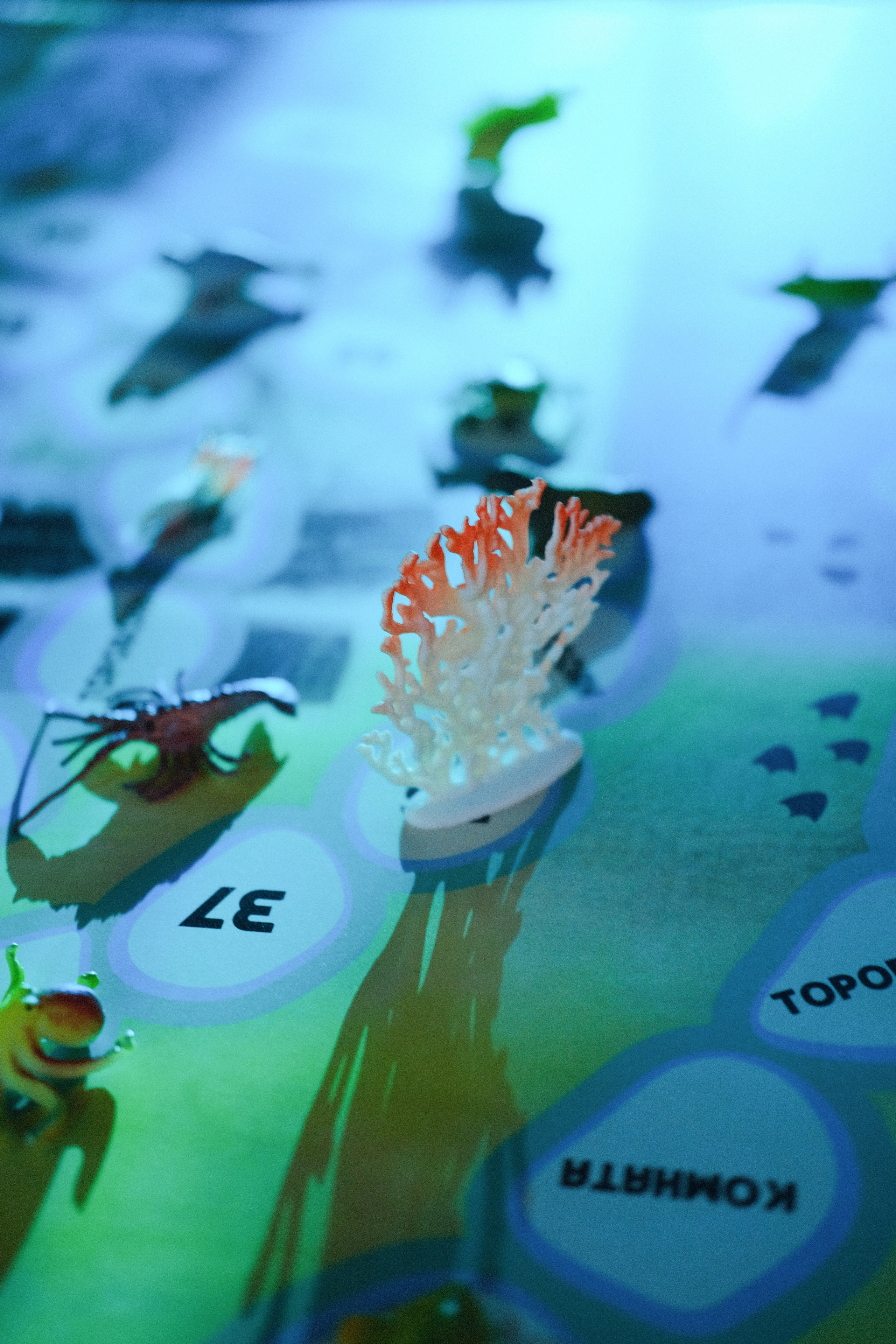 День рождения салона Aqua queen. Фотограф Саша Львова