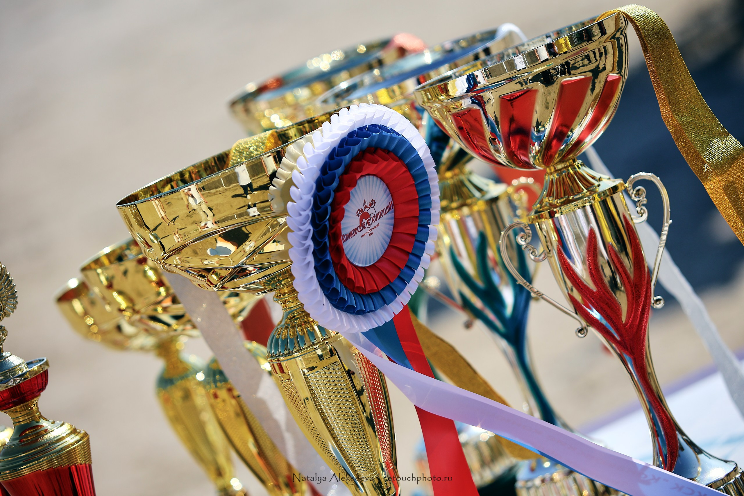 Личный ЧР по выездке, КСК Конаковские конюшни | 08'2023. Репортажный фотограф и ретушер в Москве Наталья Алексеева