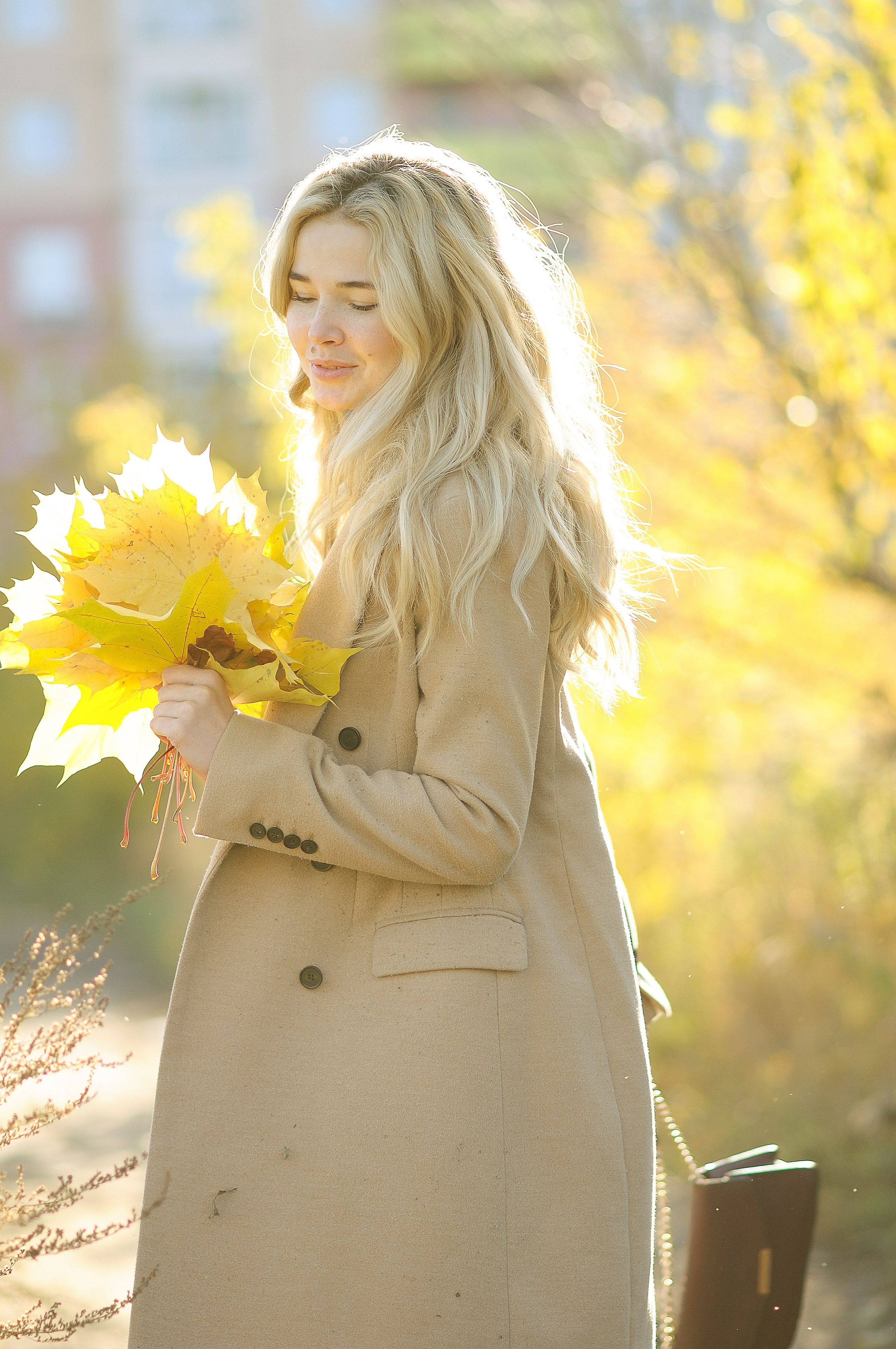 девушка с кленовыми листьями