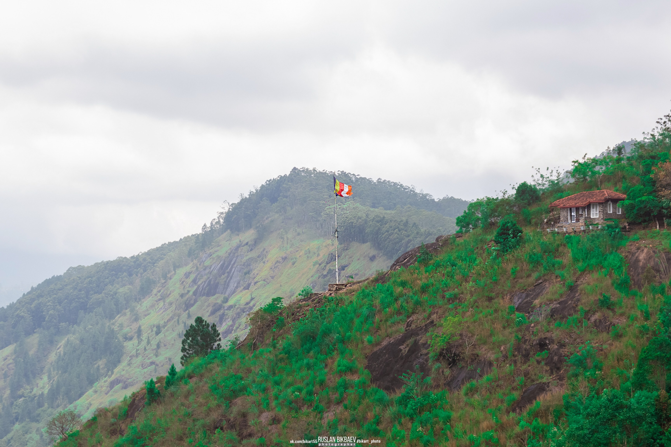 ШРИ-ЛАНКА 2025 / SRI LANKA 2025. Главная