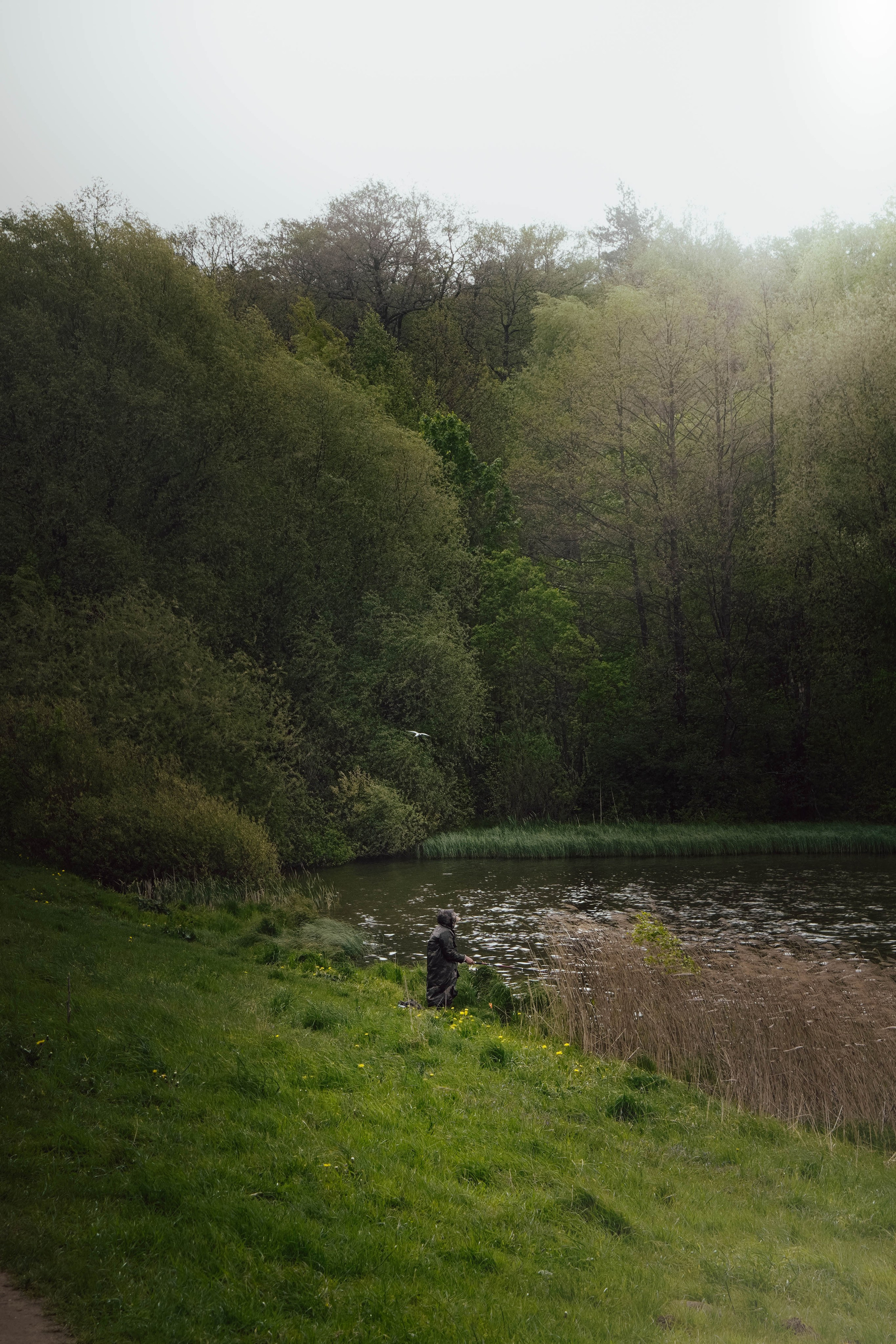 Уличная съёмка (2). Видео и Фото