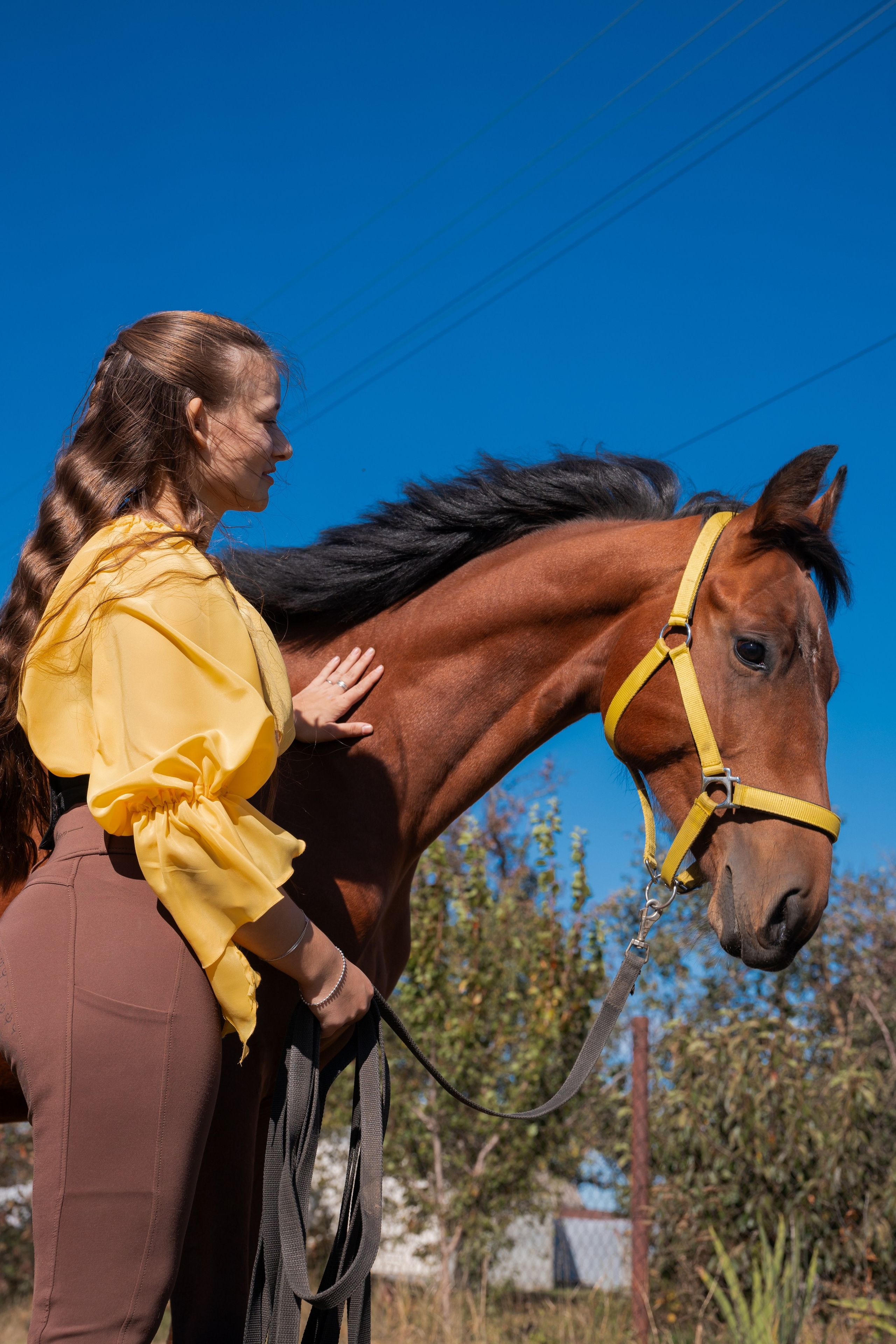 Фотосессия с лошадьми