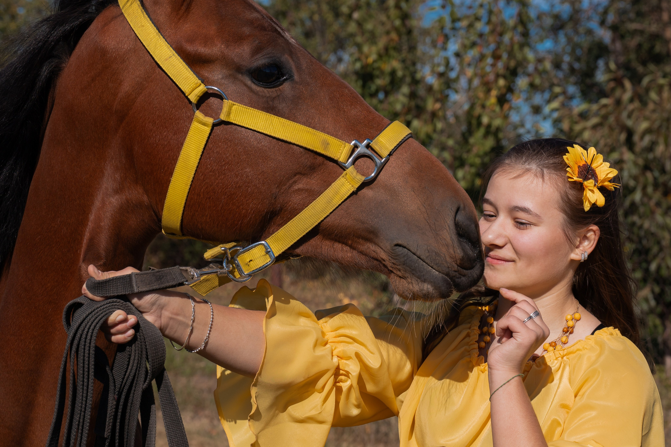 Фотосессия с лошадьми