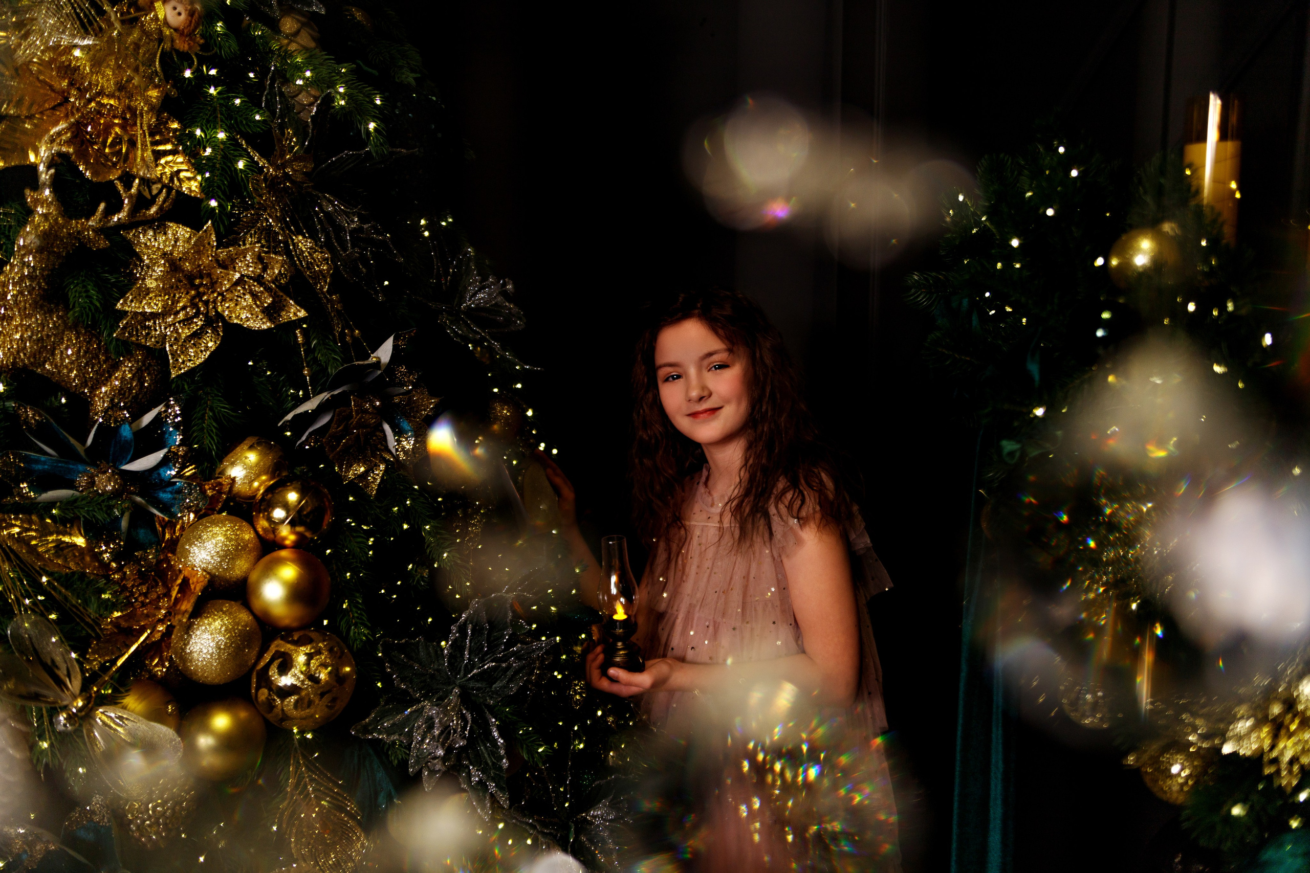 Новогодняя фотосессия. Семейный, свадебный и детский фотограф в Новосибирске Ольга Хидченко