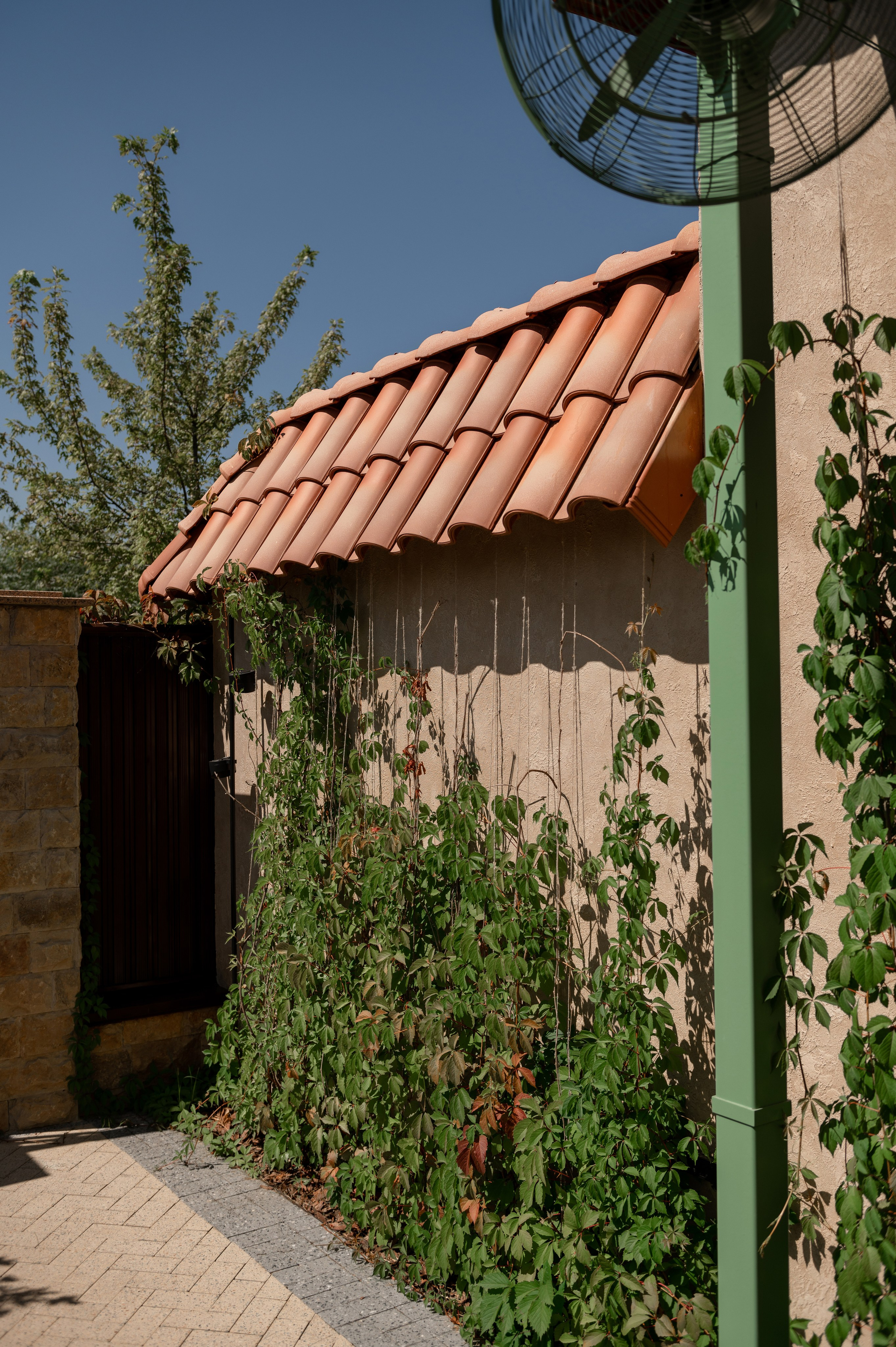 Артем и Кристина. Свадебный фотограф в Белгороде Владимир Золотарев