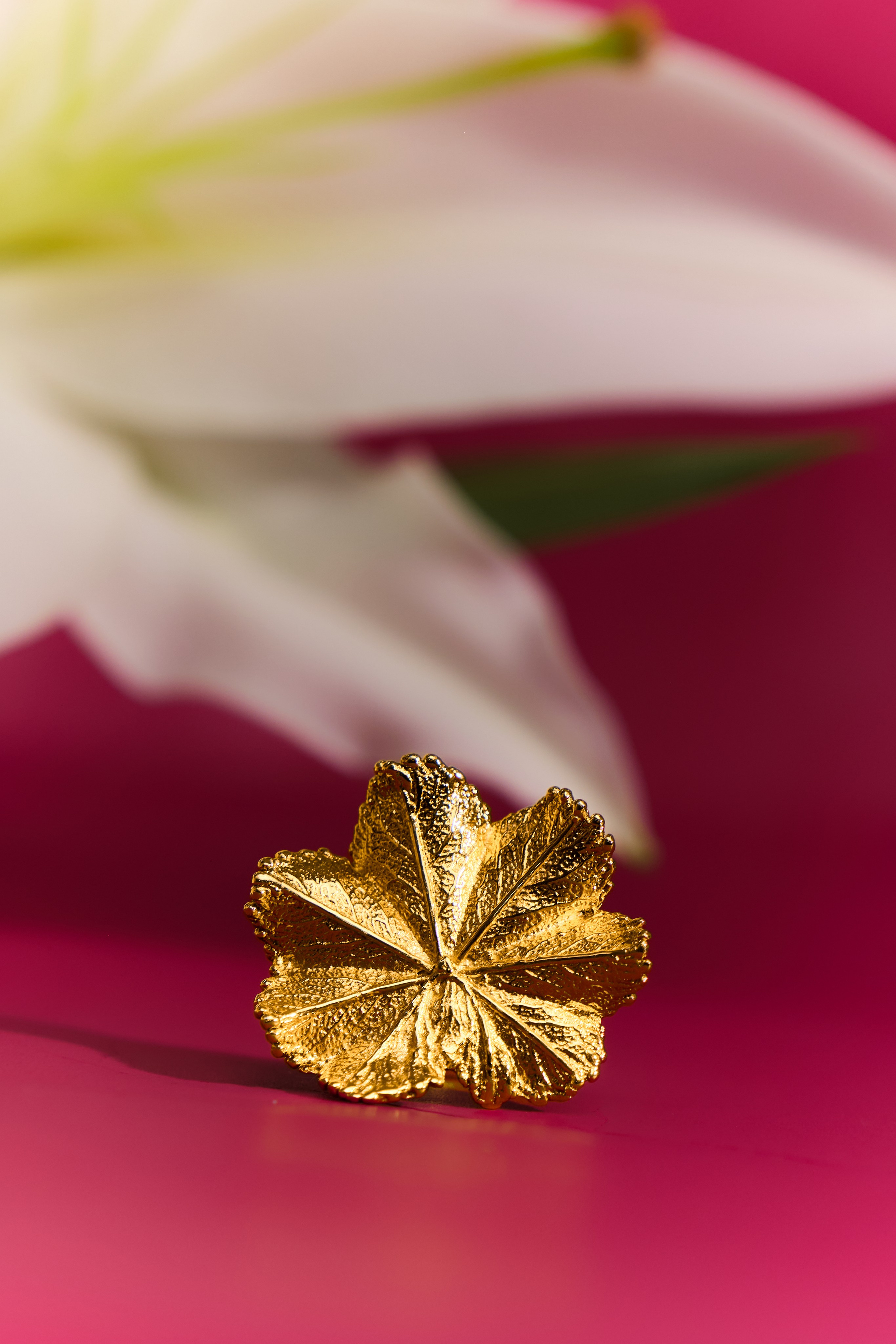 NAMSK Jewellery. Fashion Photographer