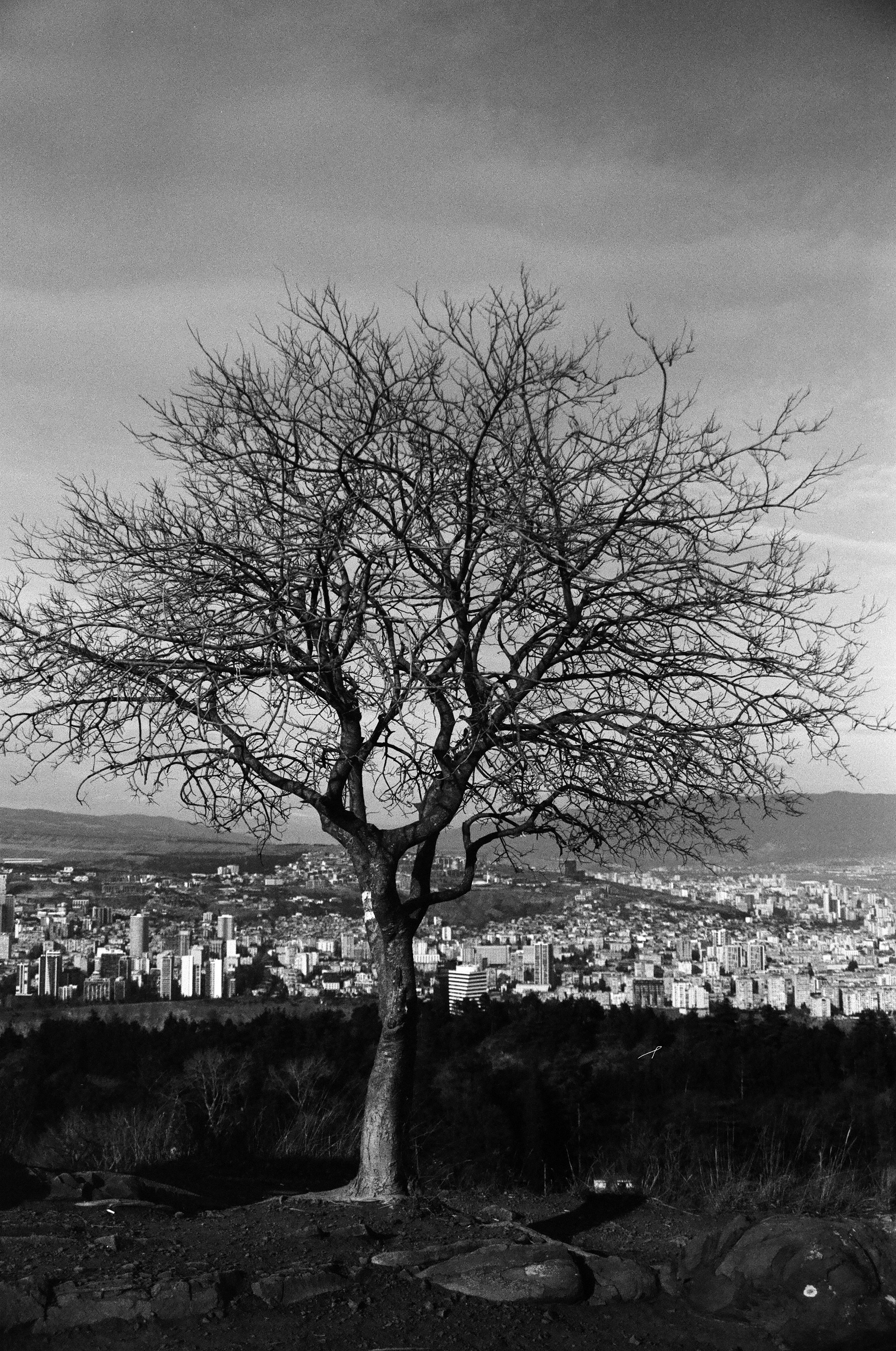 ON THE GO. Сocoobird || Атмосфера твоего бренда в снимках и видео