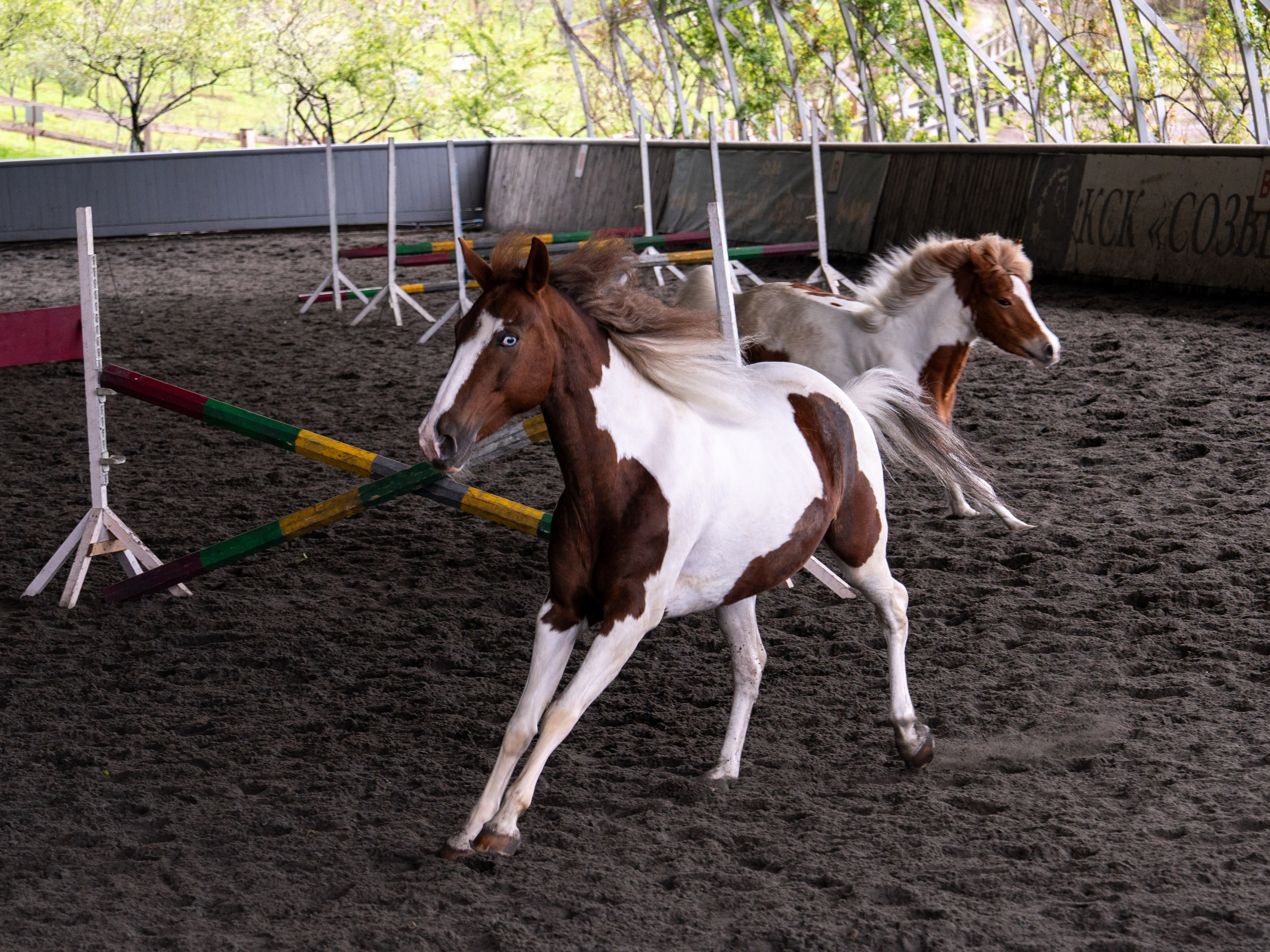 MICE мероприятие на ферме Экзархо. Репортажный фотограф в Красной Поляне и Сочи Павлюченко Екатерина