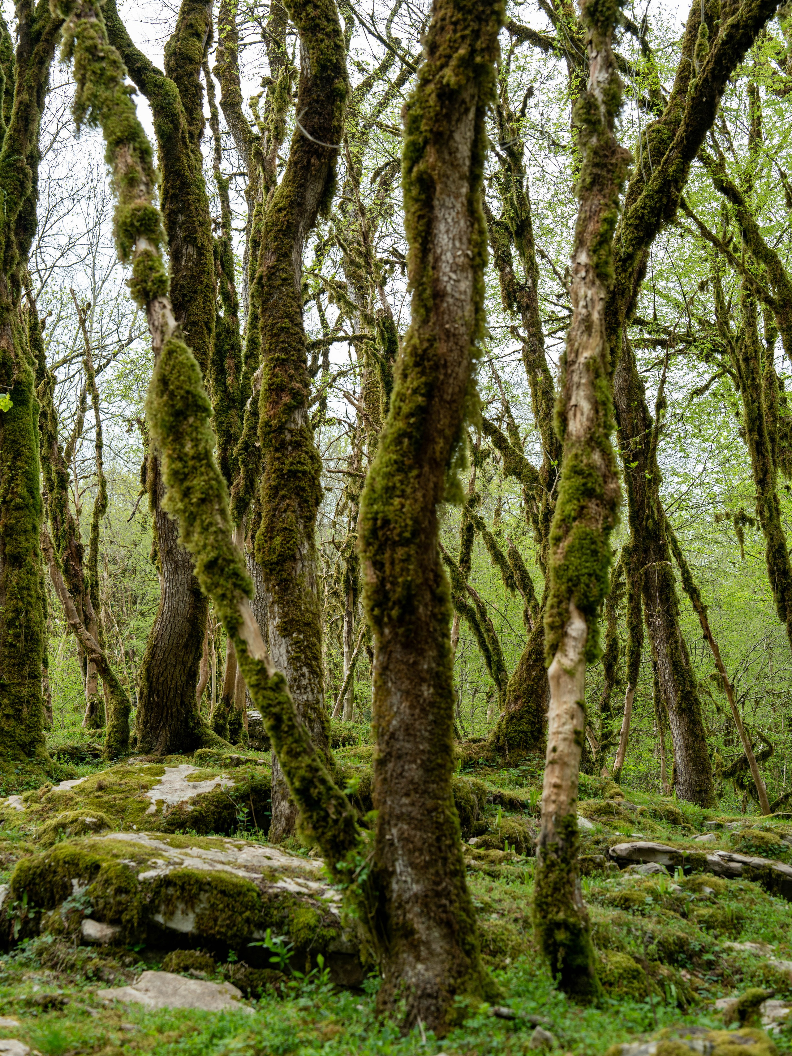 MICE мероприятие — джиппинг на каньон Псахо. Репортажный фотограф в Красной Поляне и Сочи Павлюченко Екатерина