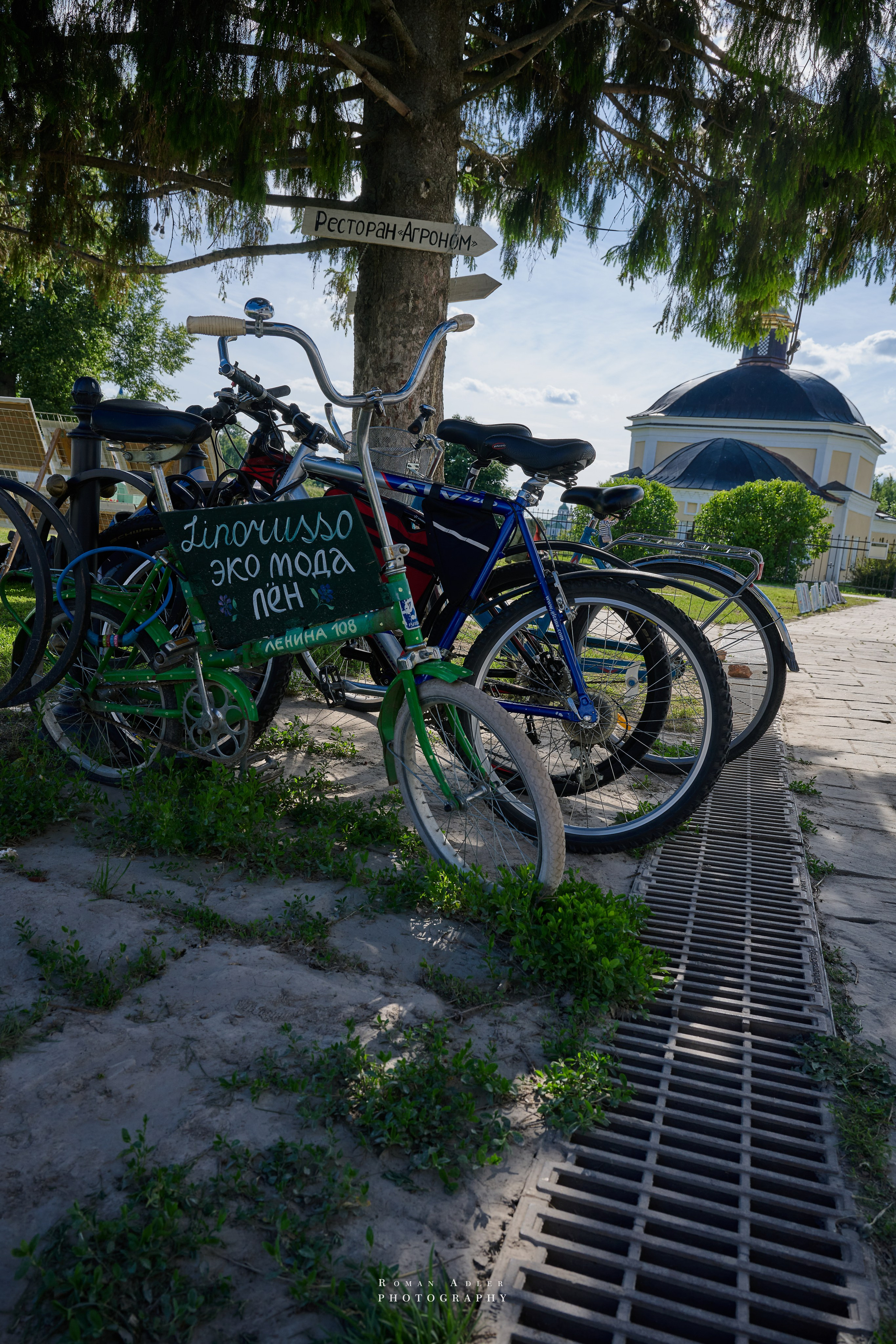 Суздаль. Июнь 2025. Фотограф Роман Адлер