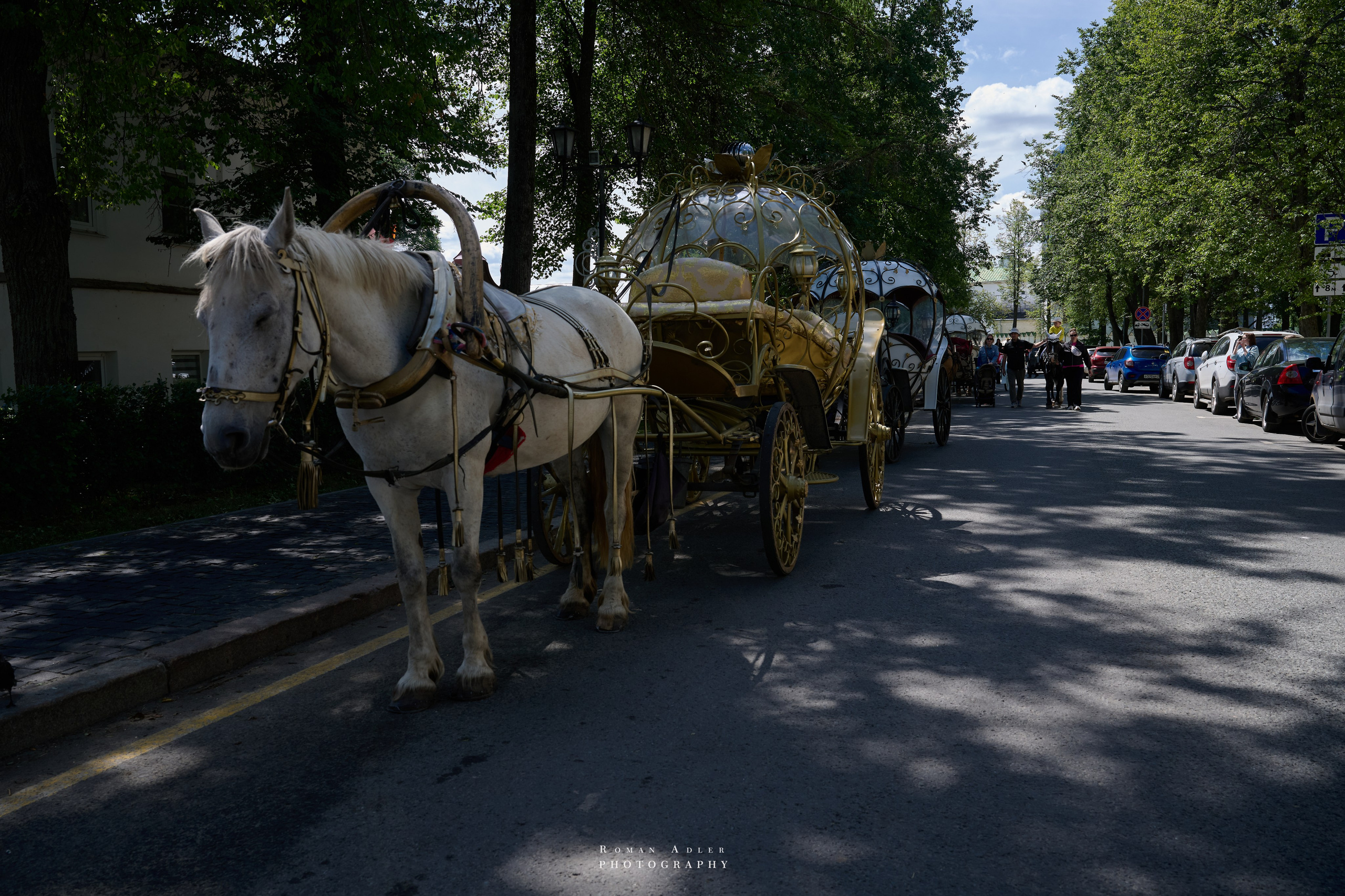 Суздаль. Июнь 2025. Фотограф Роман Адлер