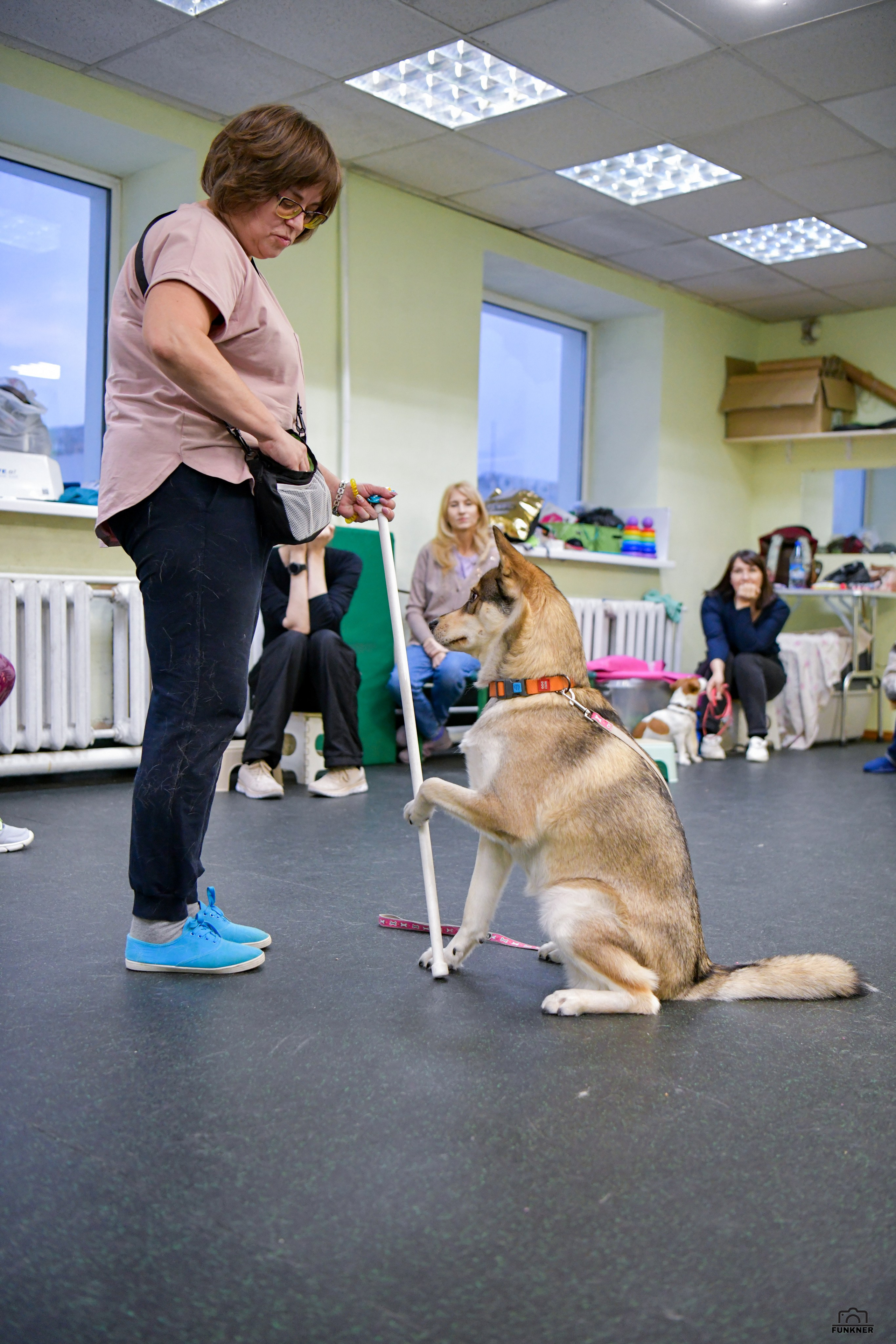 Кинологический клуб «Бодрый хвост». Свой взгляд через объектив