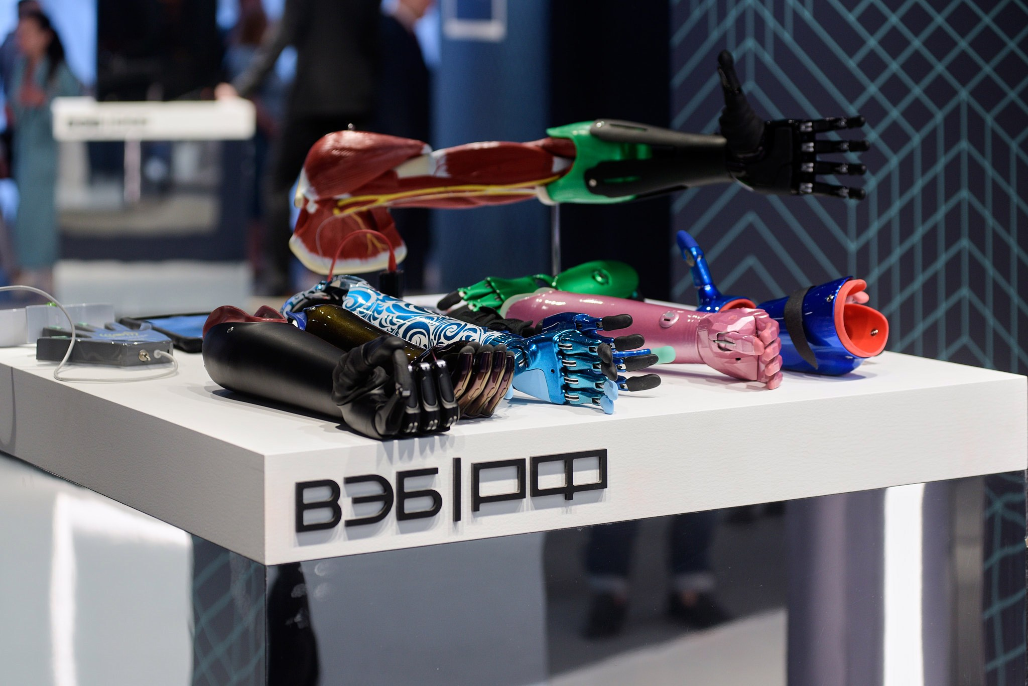 Пмэф 2023. Иван Ступа, репортажный фотограф в Санкт-Петербурге и Ленинградской области