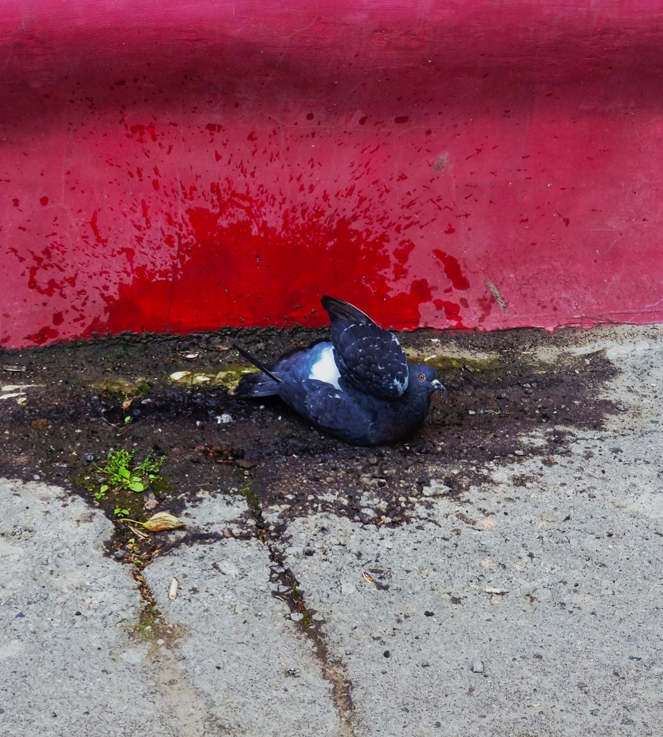 Июль 2025. Den Mirov — Фотограф, Музыкант